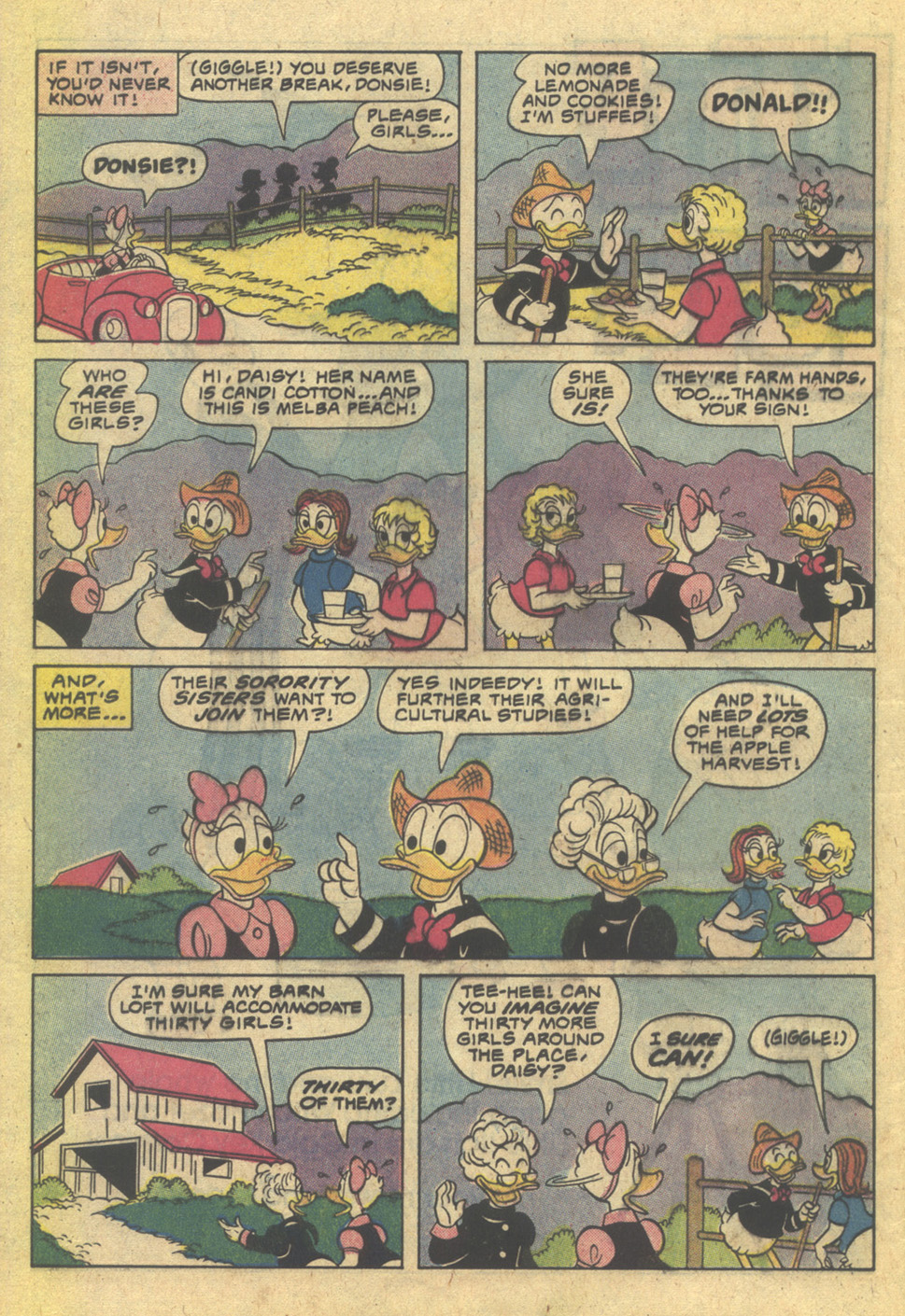 Read online Walt Disney Daisy and Donald comic -  Issue #42 - 32