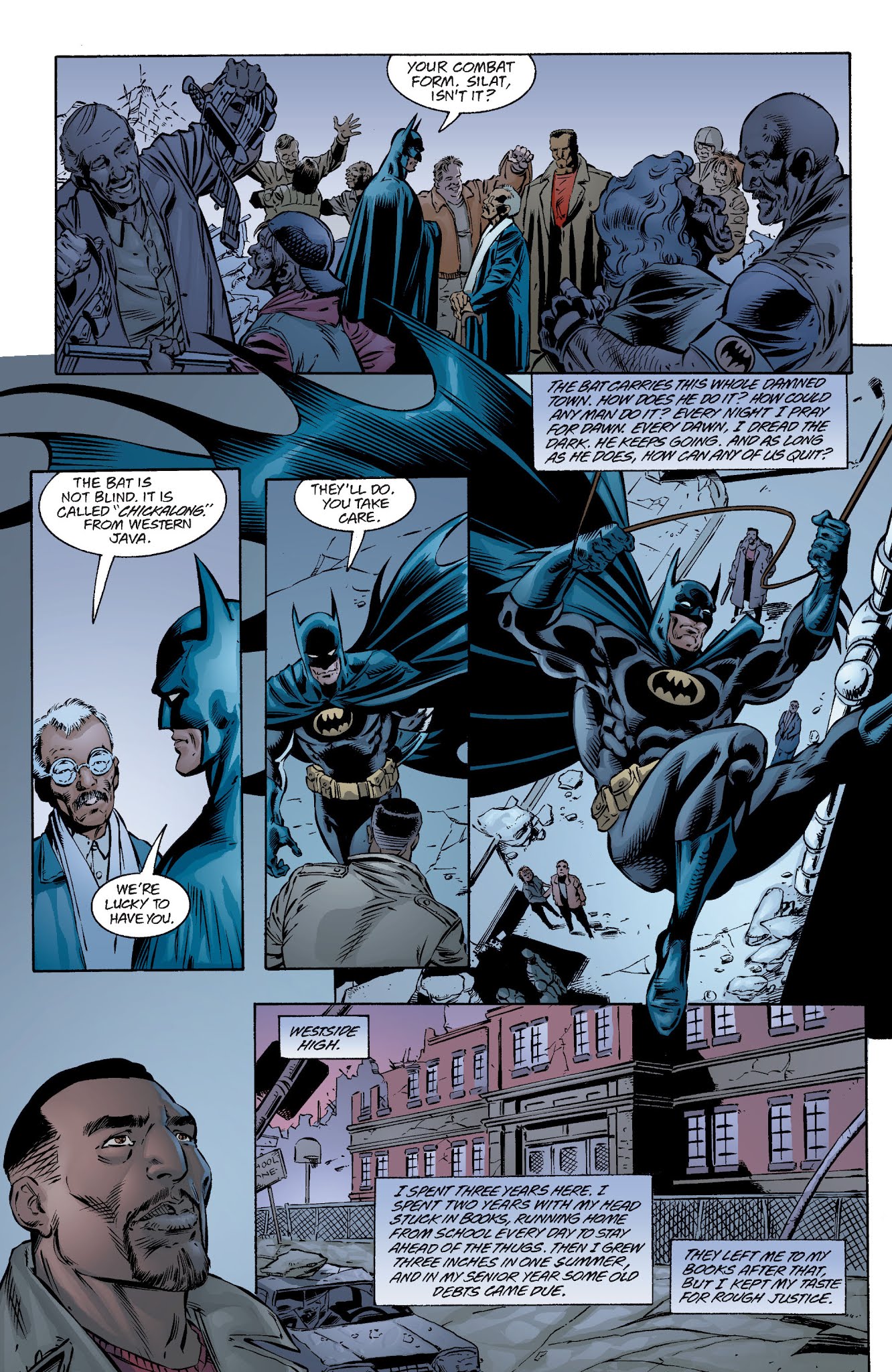 Read online Batman: No Man's Land (2011) comic -  Issue # TPB 3 - 249