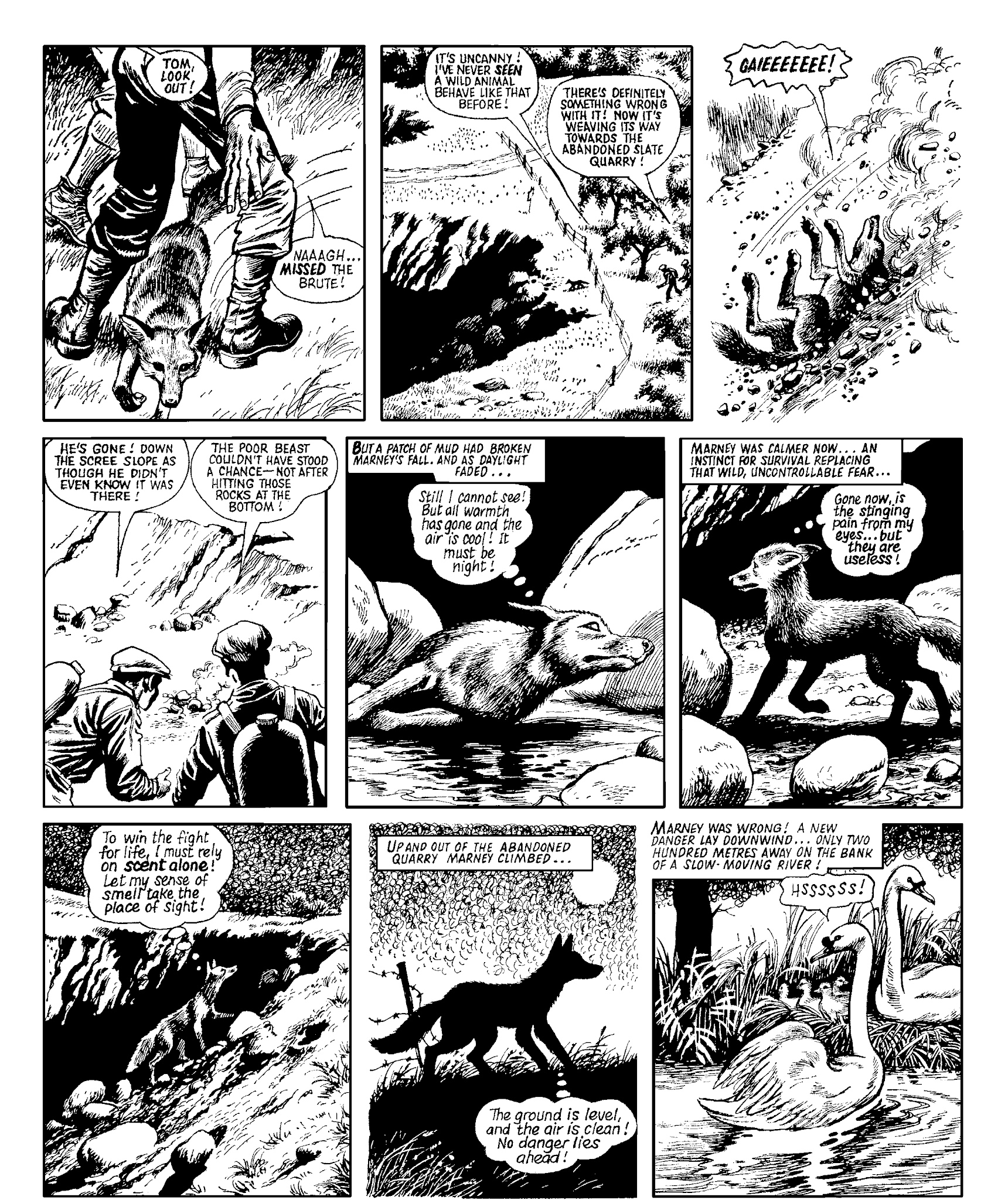 Read online Marney the Fox comic -  Issue # TPB (Part 2) - 117