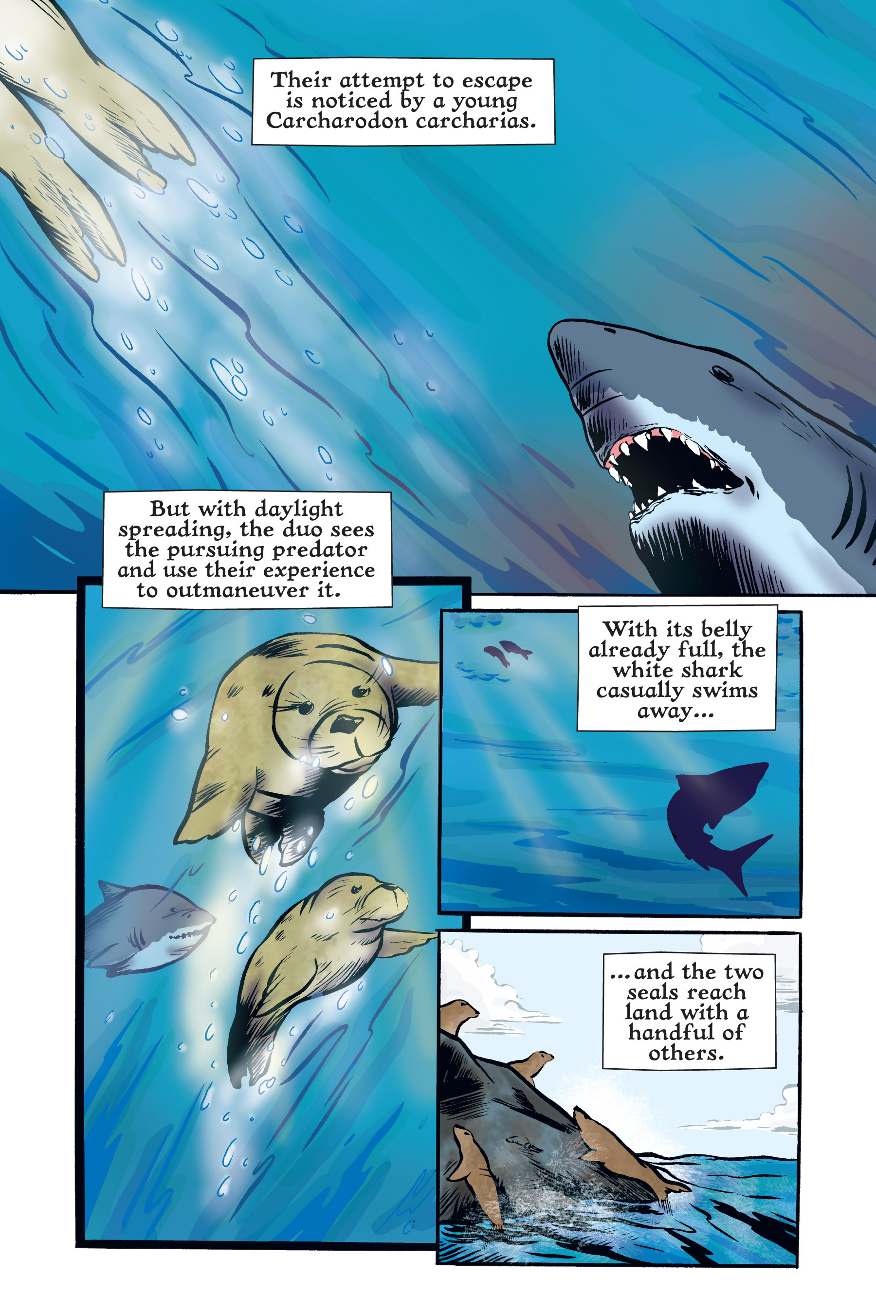 Read online Xoc: Journey of a Great White comic -  Issue # TPB - 26