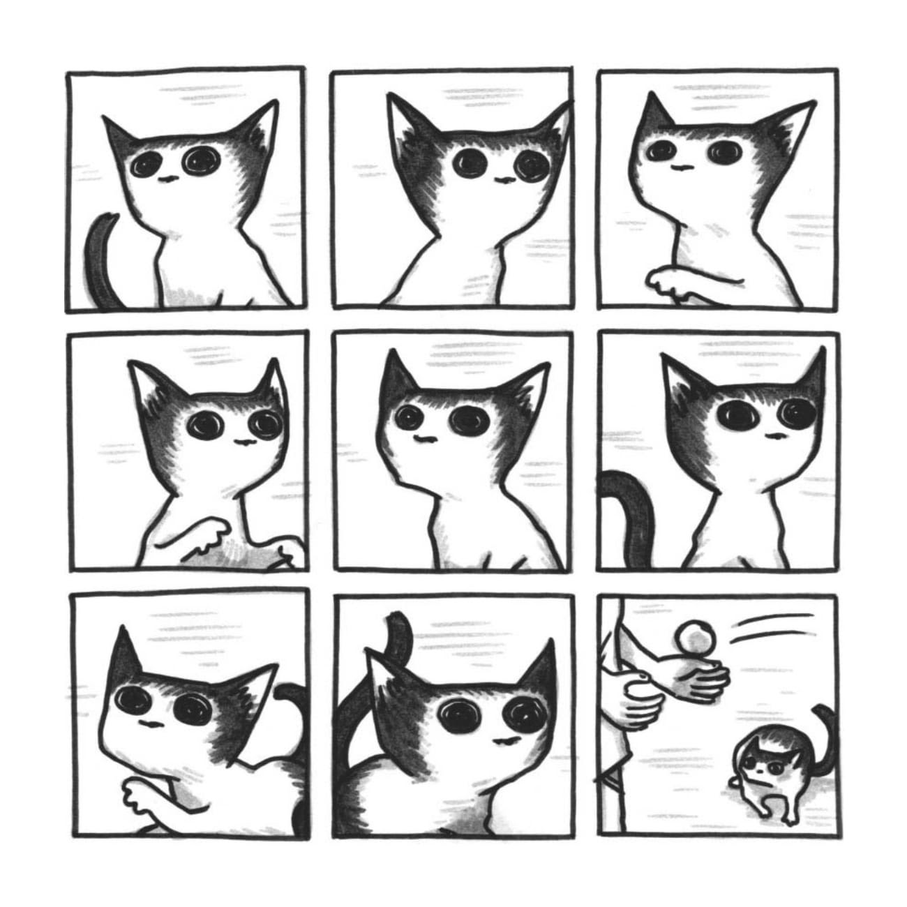 Read online Cats are Weird and More Observations comic -  Issue # TPB - 25