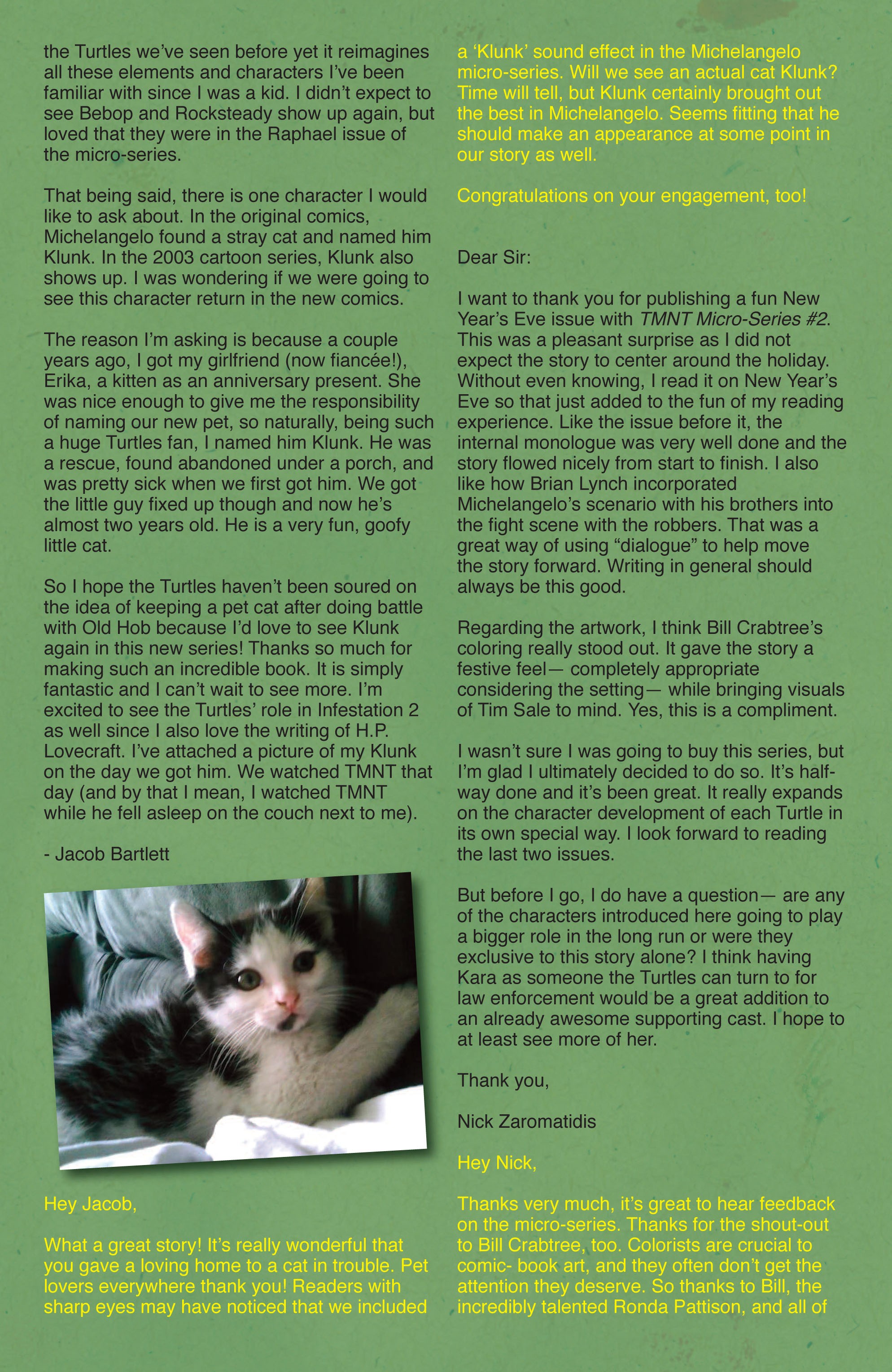 Read online Teenage Mutant Ninja Turtles (2011) comic -  Issue #8 - 27