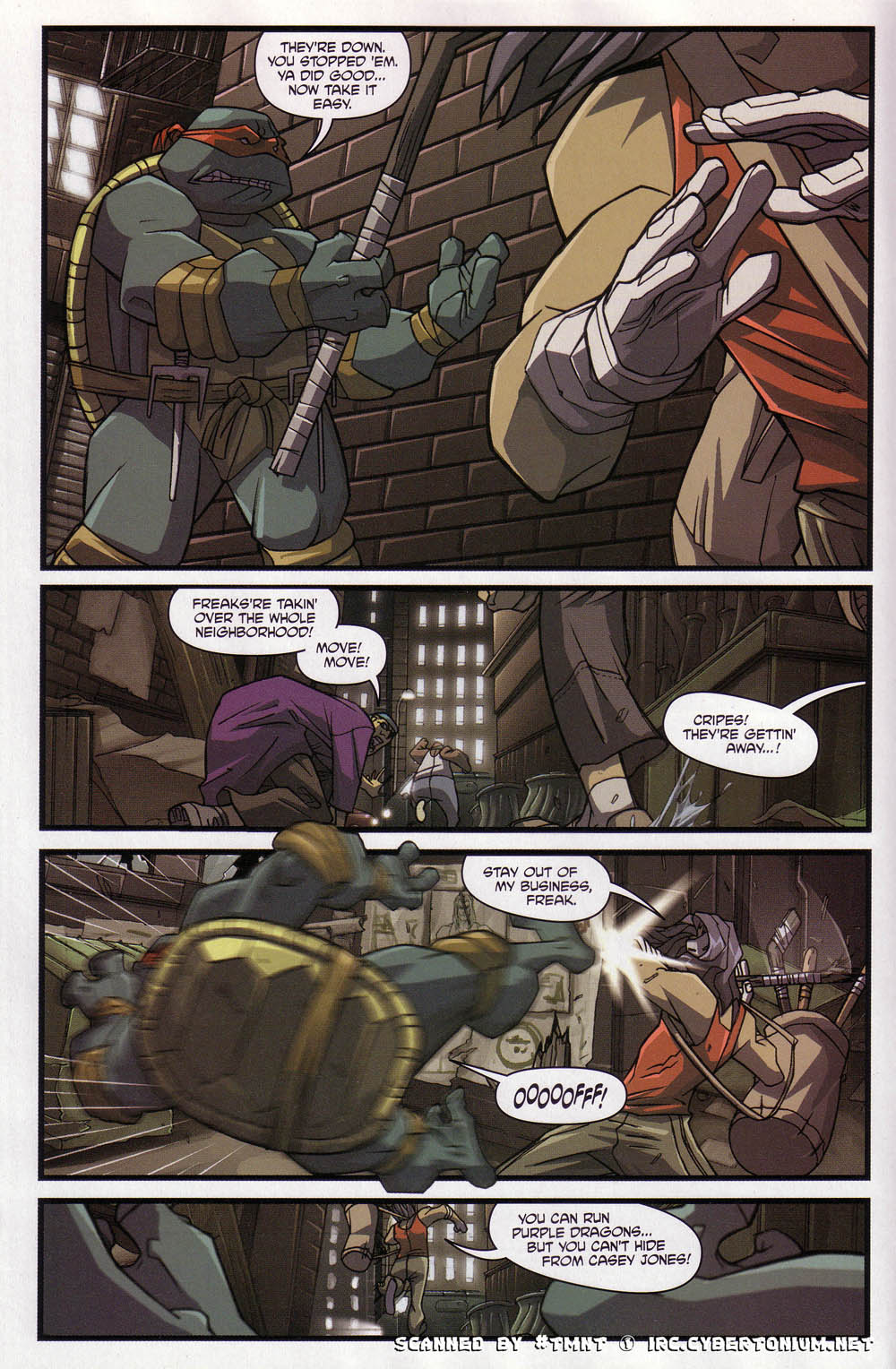 Teenage Mutant Ninja Turtles (2003) Issue #4 #4 - English 10