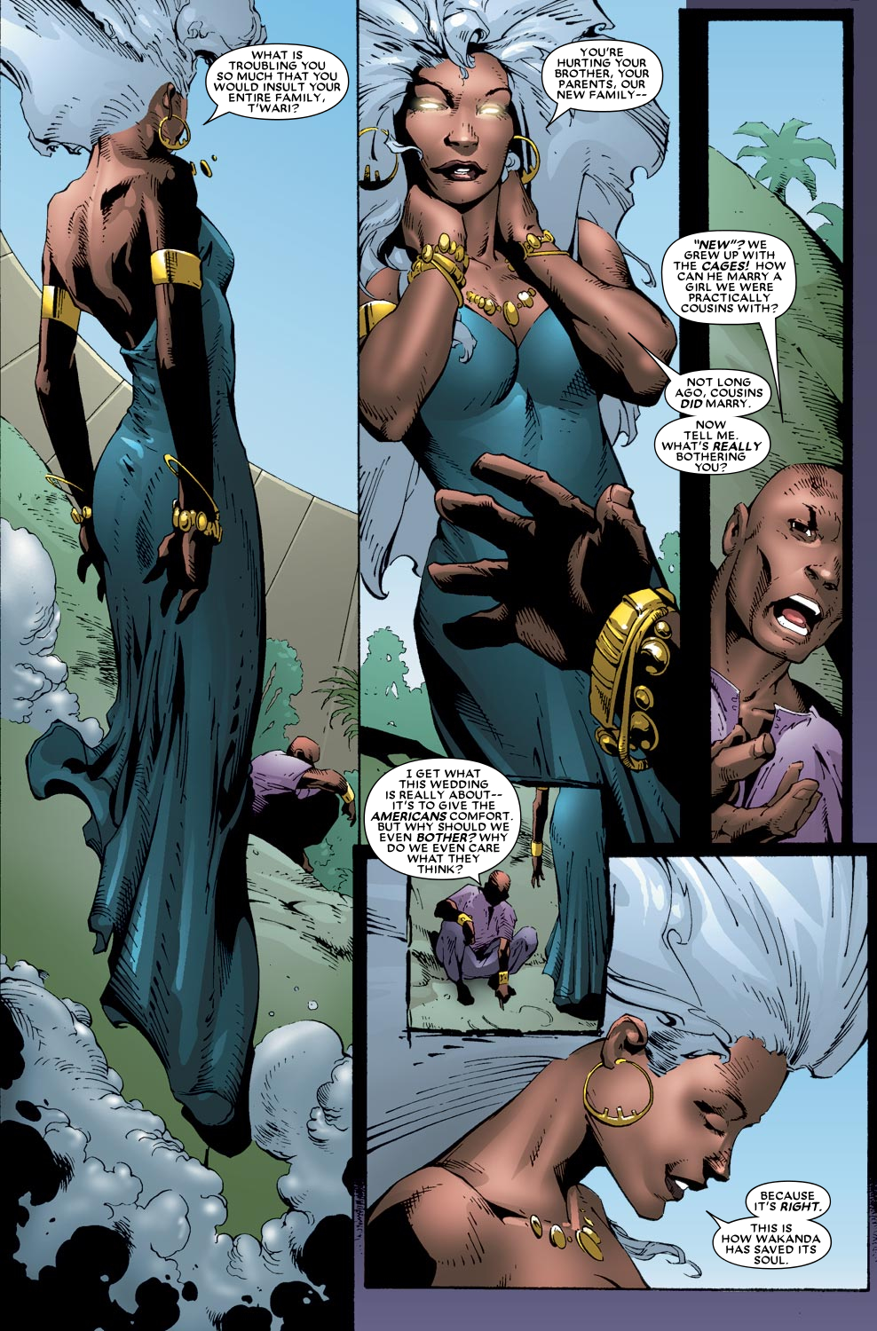 Black Panther (2005) issue Annual 1 - Page 10