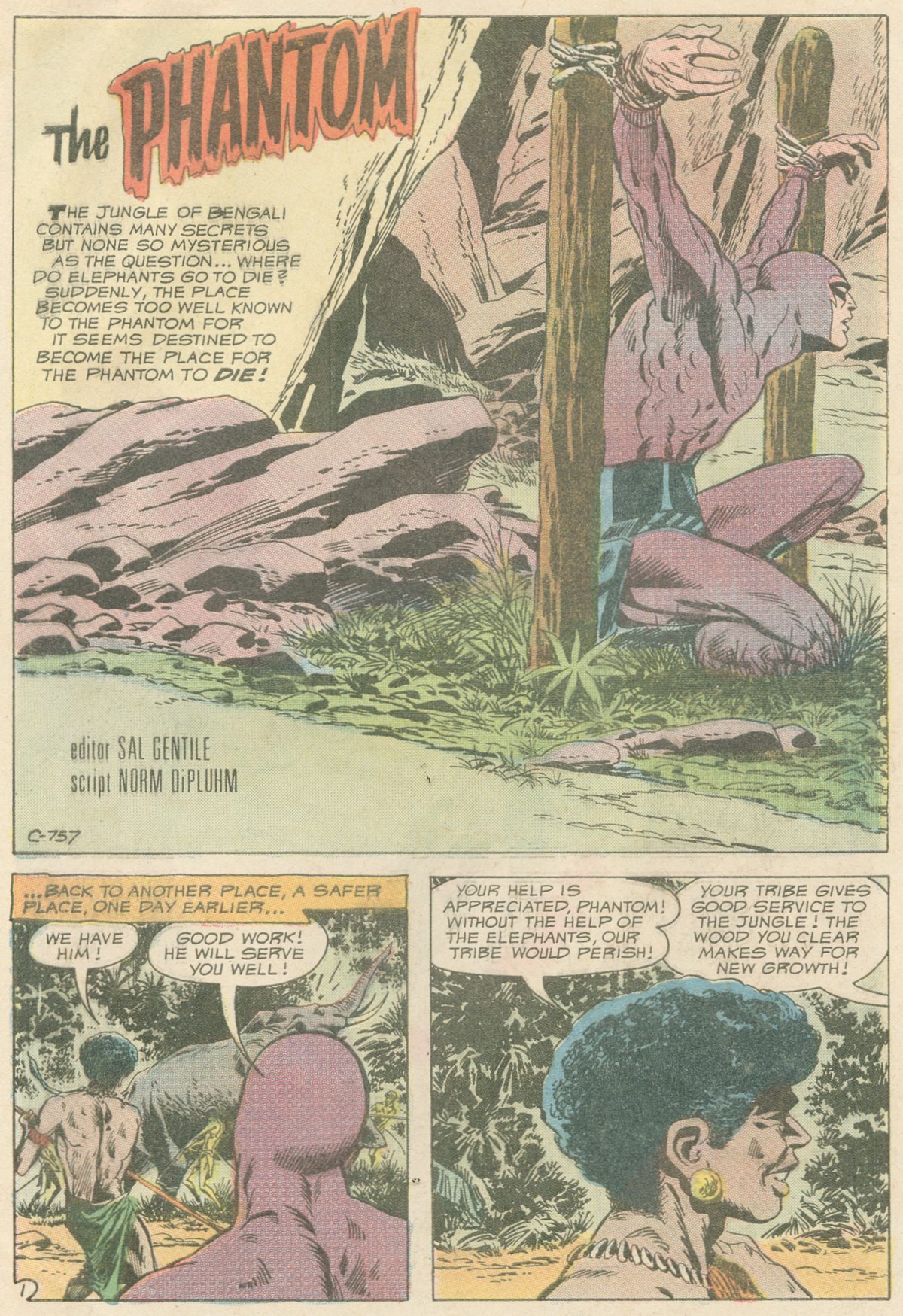 Read online The Phantom (1969) comic -  Issue #38 - 3