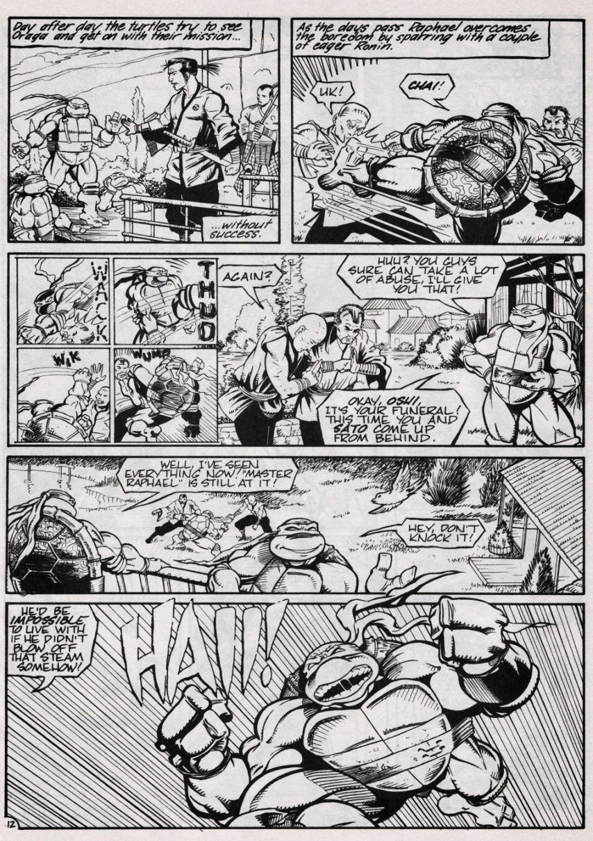 Read online Teenage Mutant Ninja Turtles (1984) comic -  Issue #47 - 13