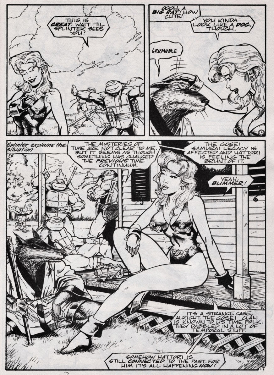 Teenage Mutant Ninja Turtles (1984) Issue #46 #46 - English 17