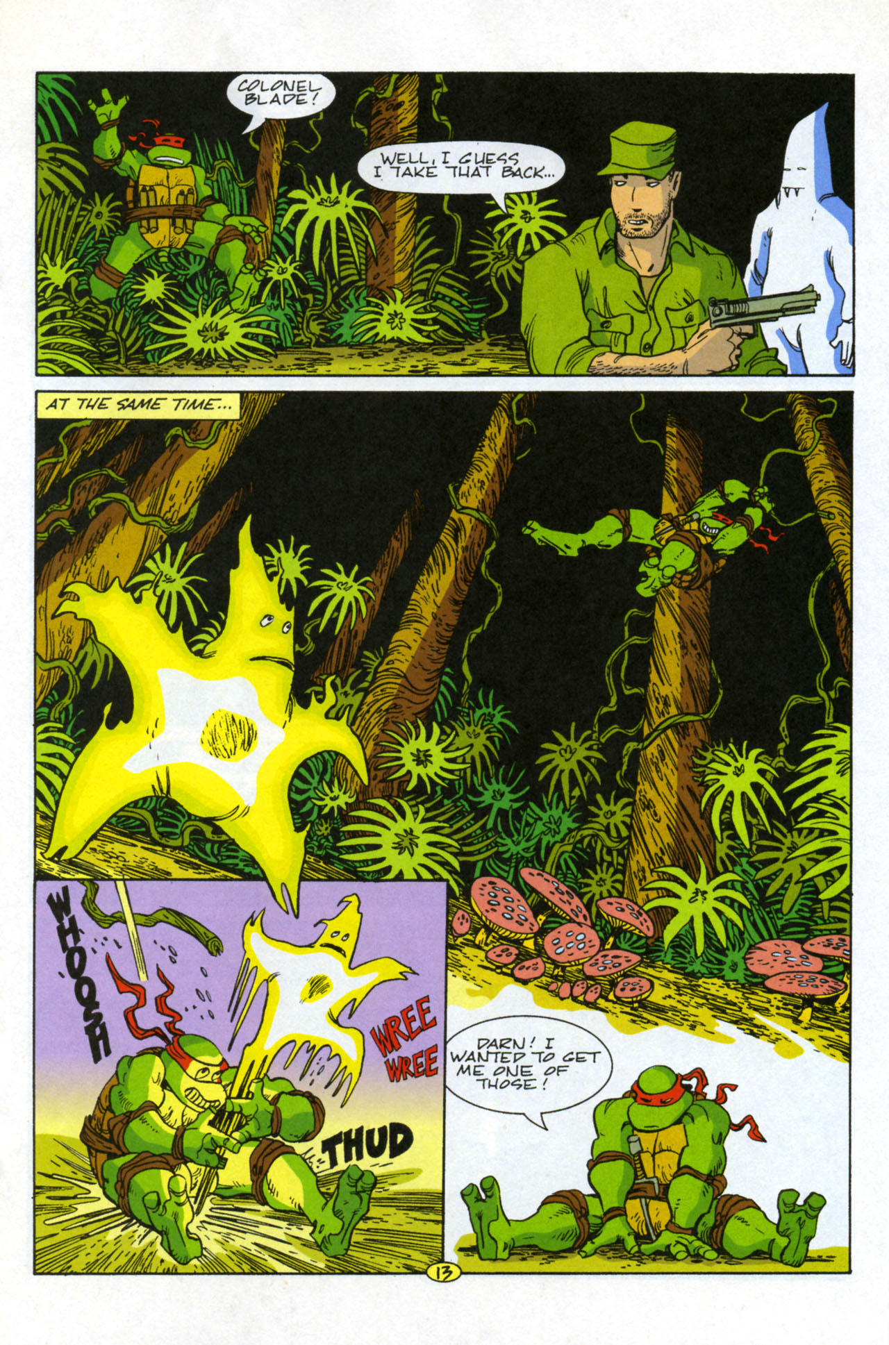 Read online Teenage Mutant Ninja Turtles/Flaming Carrot Crossover comic -  Issue #2 - 15