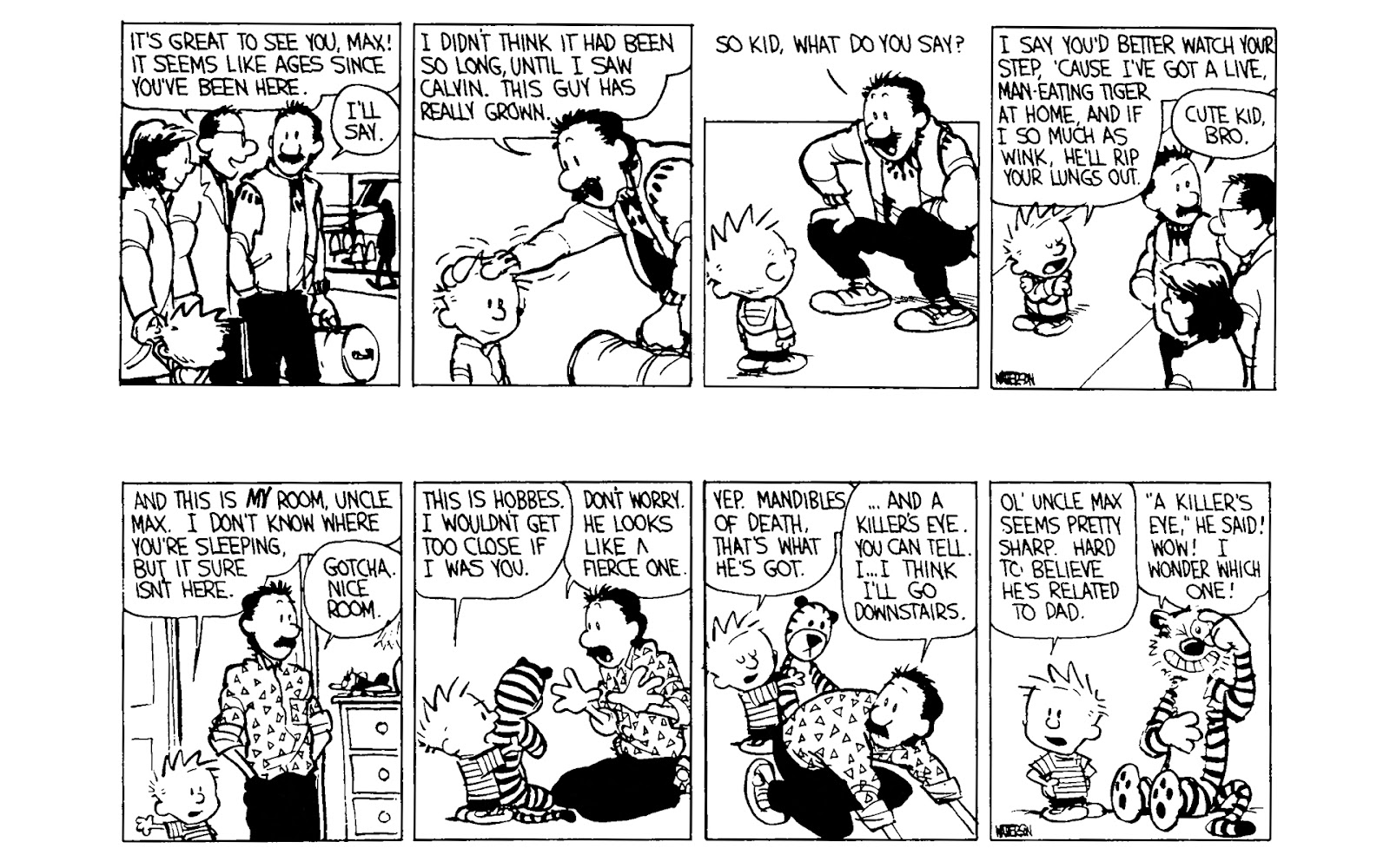 Calvin and Hobbes issue 3 - Page 141