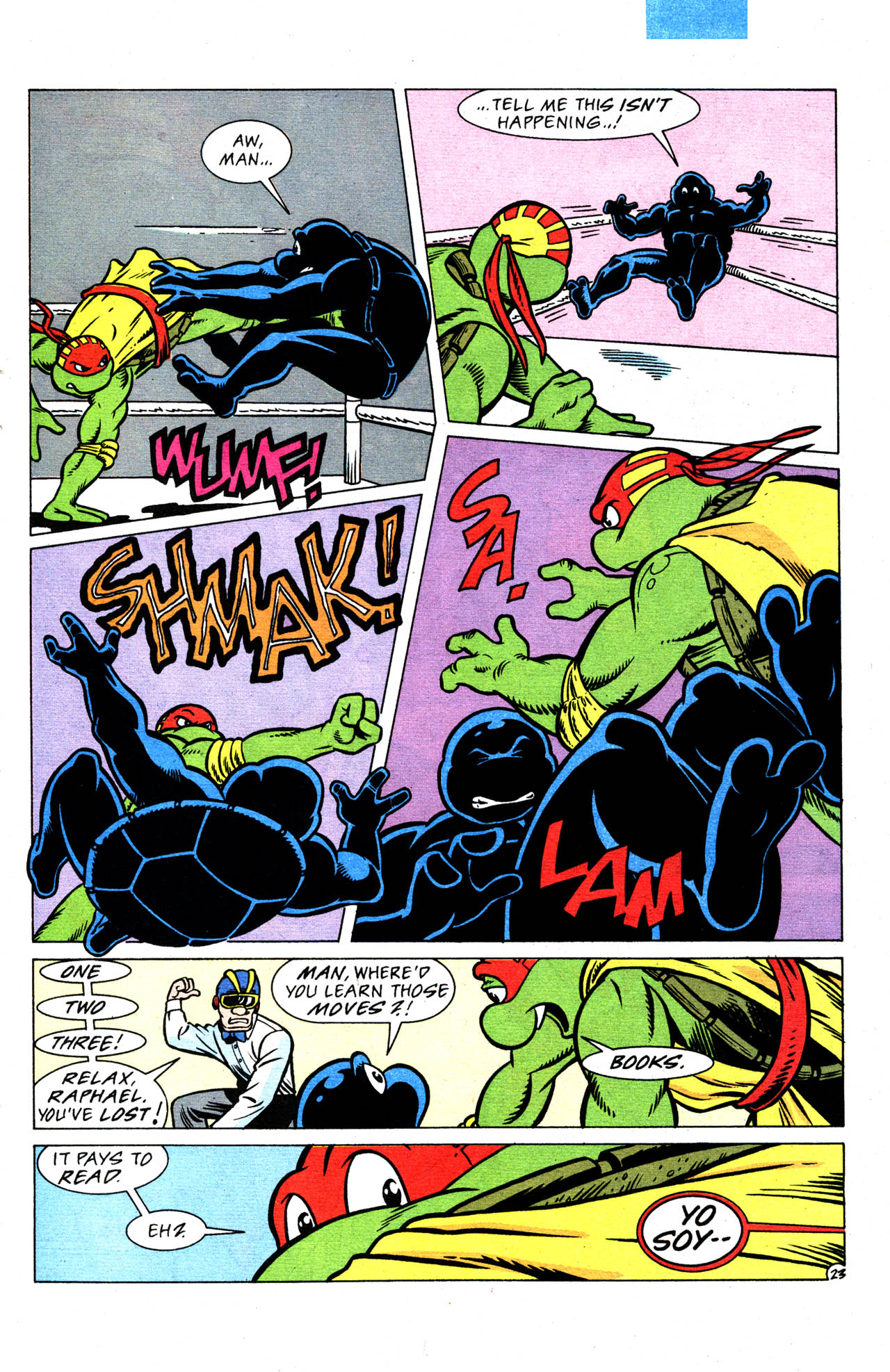Read online Teenage Mutant Ninja Turtles Adventures (1989) comic -  Issue #37 - 25