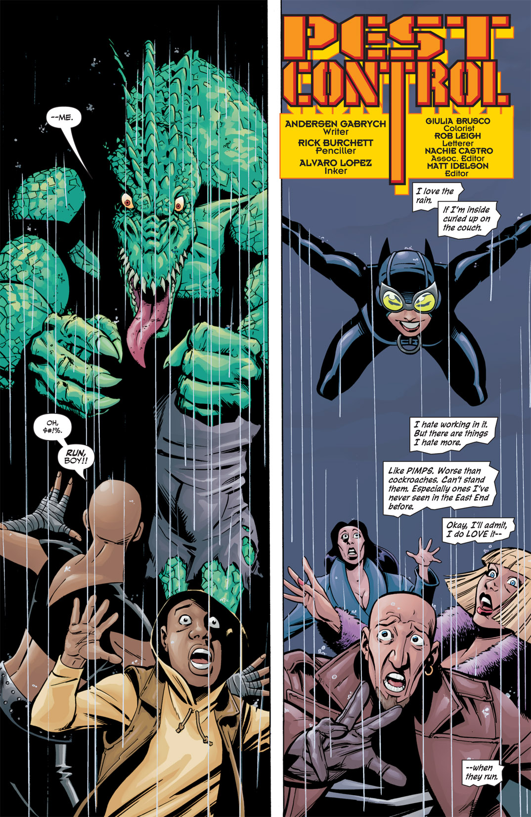 Read online Catwoman (2002) comic -  Issue #43 - 3