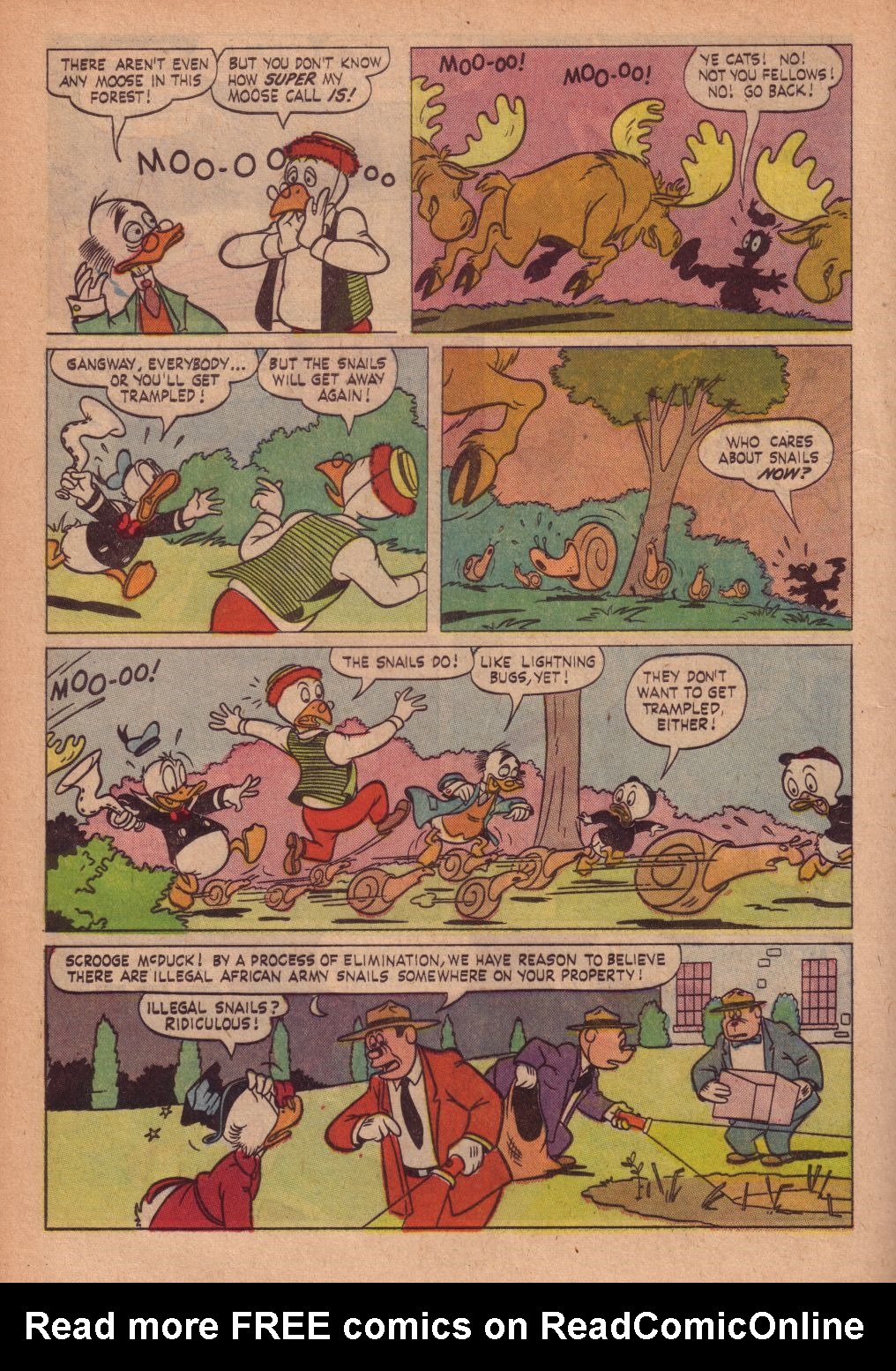 Read online Walt Disney's Donald Duck (1952) comic -  Issue #82 - 16