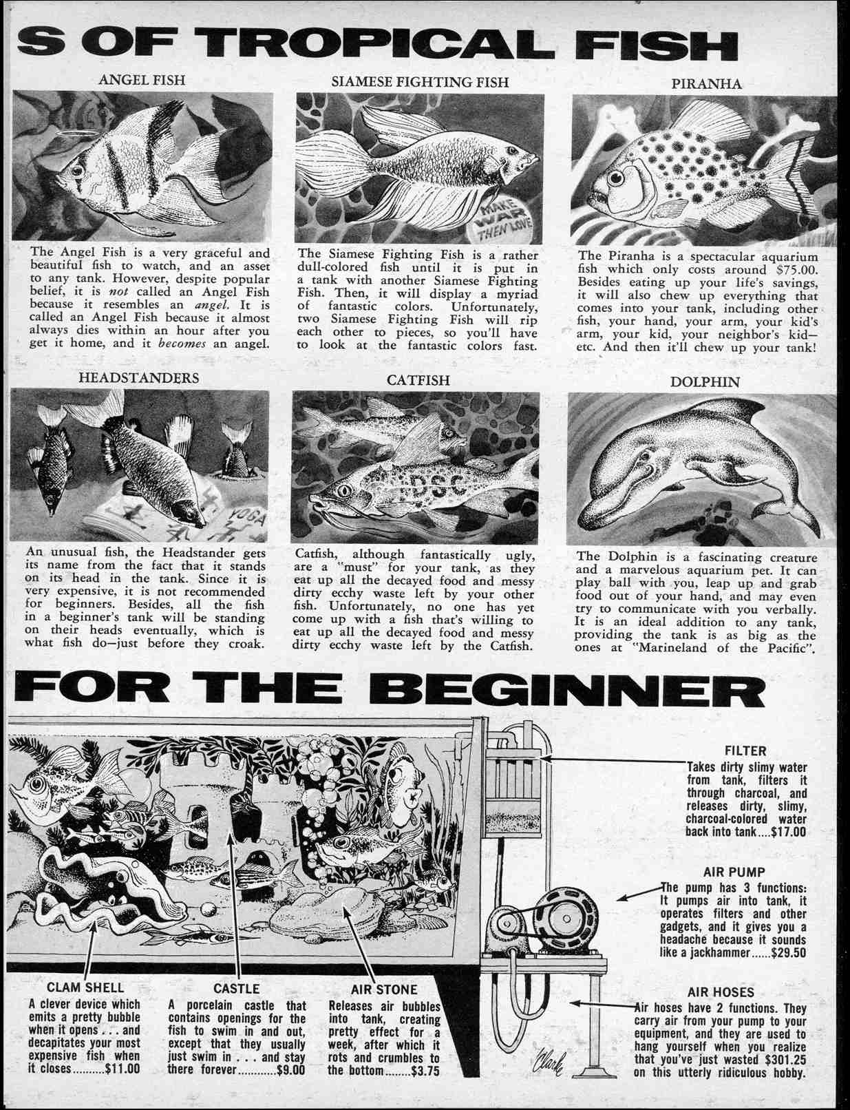 Read online MAD comic -  Issue #141 - 31