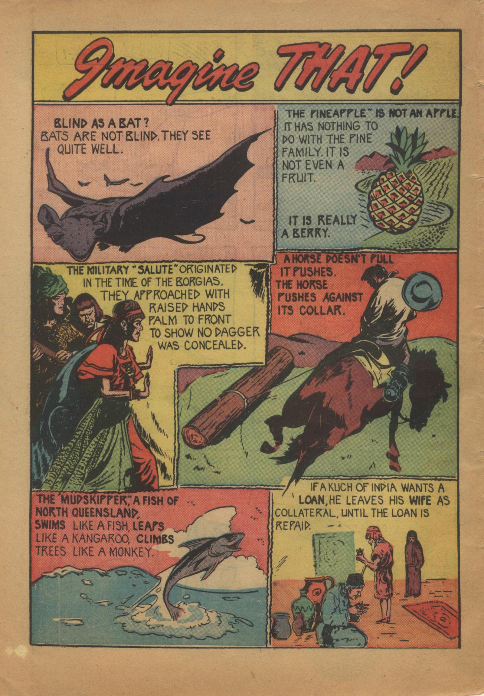 Read online All Top Comics (1946) comic -  Issue #2 - 34