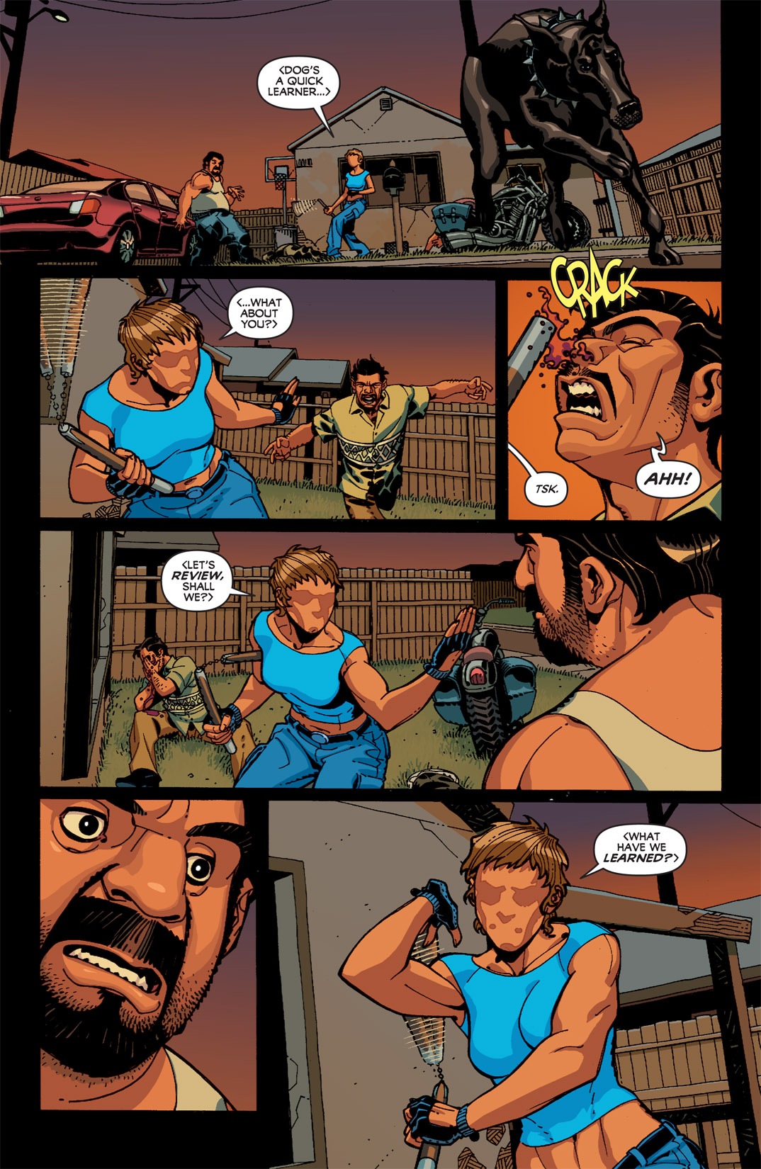Read online The Question: Pipeline comic -  Issue # TPB - 13