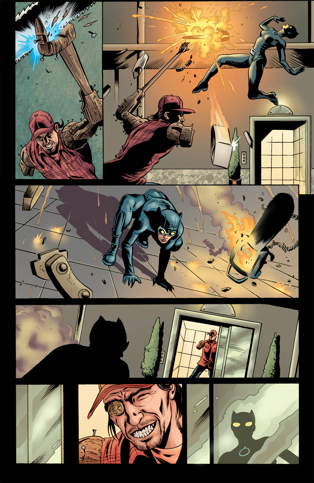 Read online Catwoman (2002) comic -  Issue #40 - 16