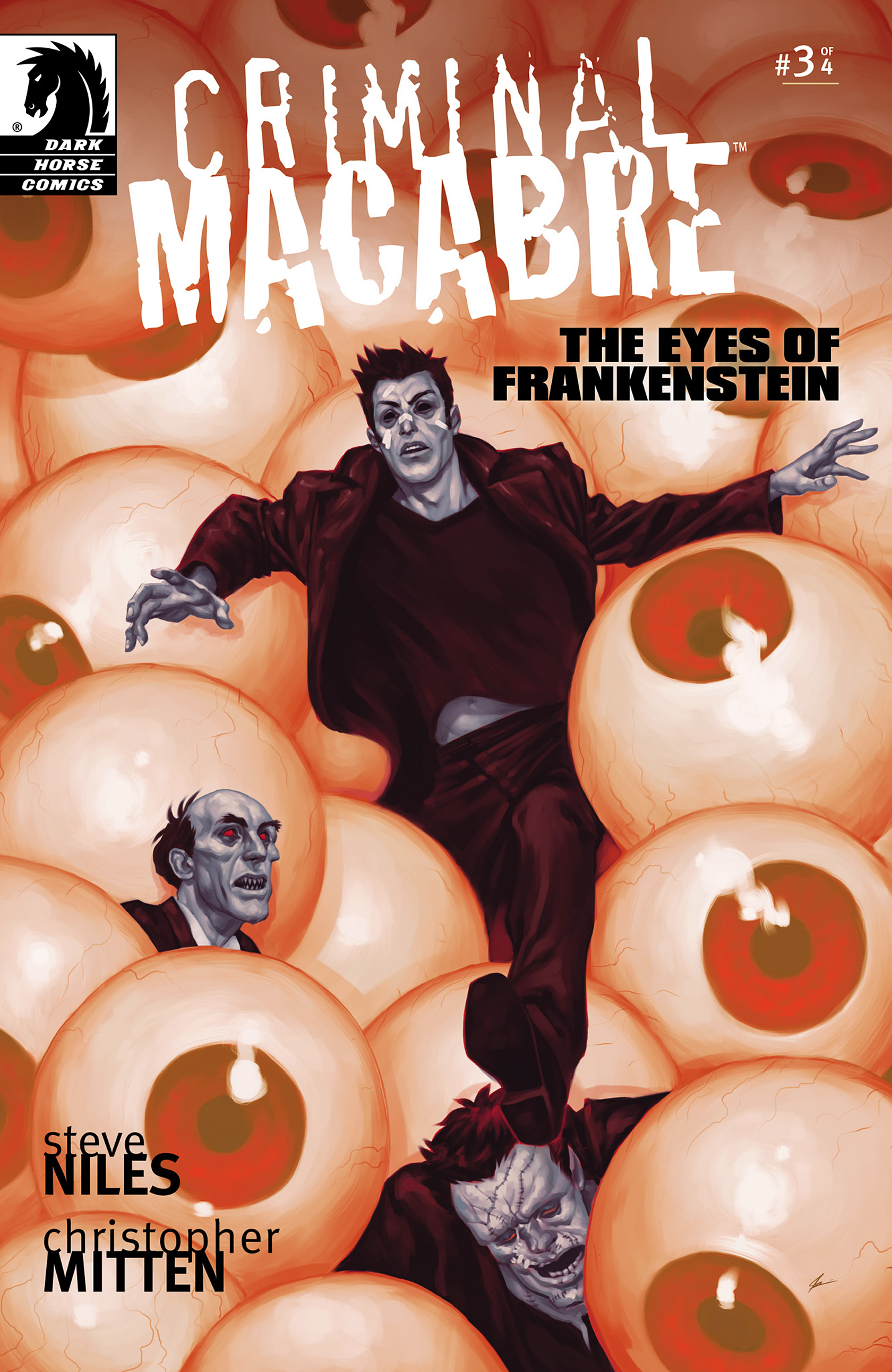 Read online Criminal Macabre: The Eyes of Frankenstein comic -  Issue #3 - 1