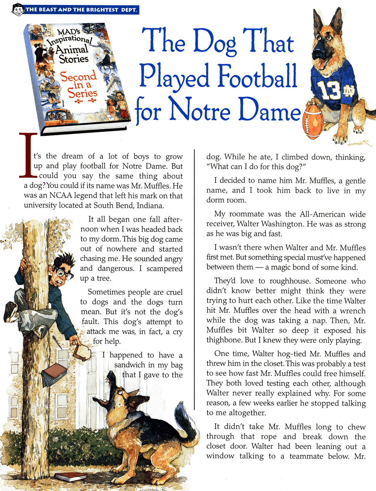 Read online MAD comic -  Issue #462 - 29