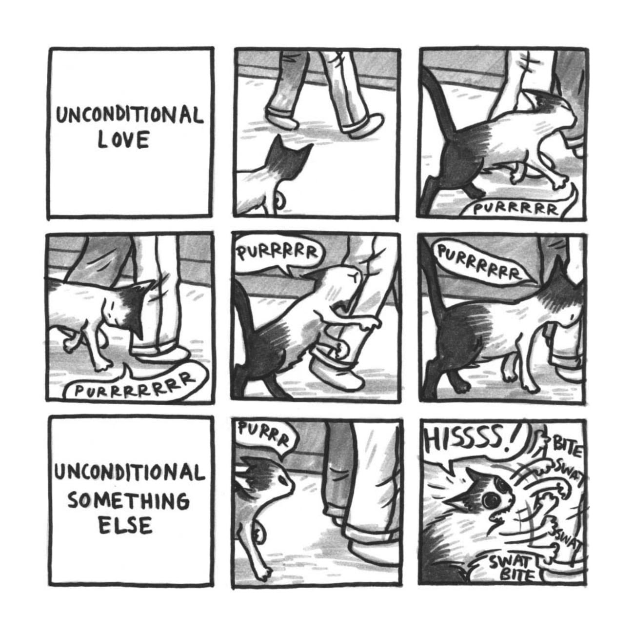 Read online Cats are Weird and More Observations comic -  Issue # TPB - 106