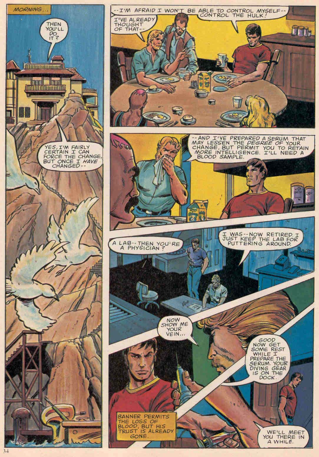 Read online Hulk (1978) comic -  Issue #16 - 35