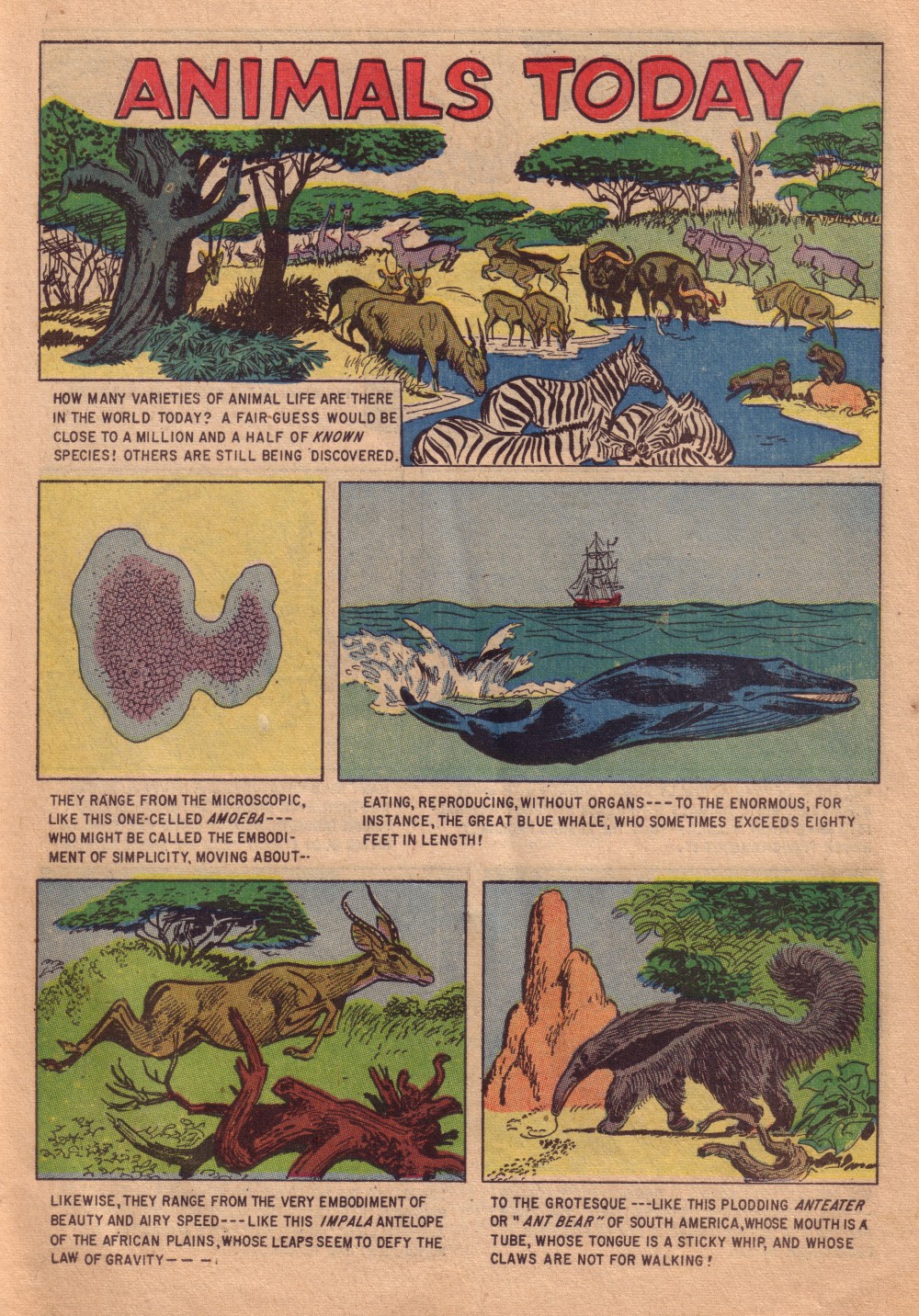 Read online Four Color Comics comic -  Issue #713 - 27