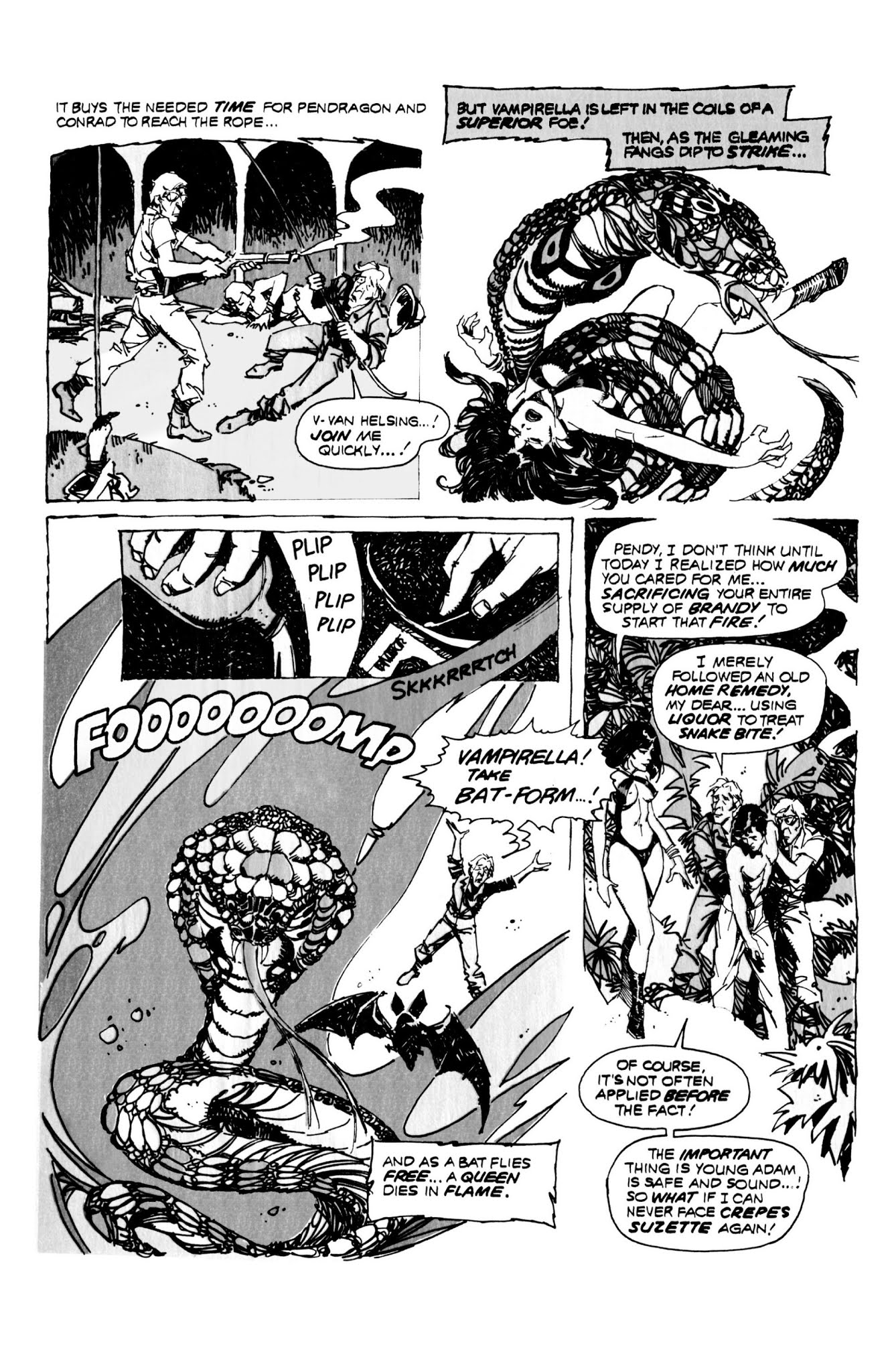 Read online Vampirella: The Essential Warren Years comic -  Issue # TPB (Part 5) - 46