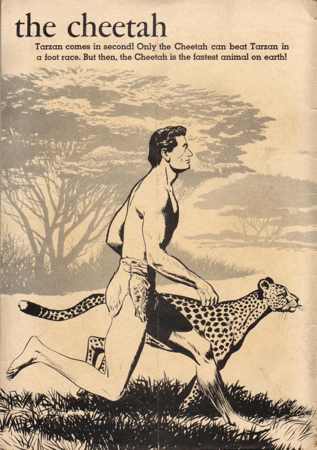 Read online Tarzan (1948) comic -  Issue #89 - 2