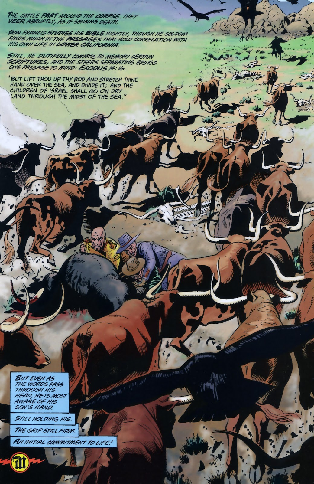 Zorro: Matanzas issue 4 - Page 15