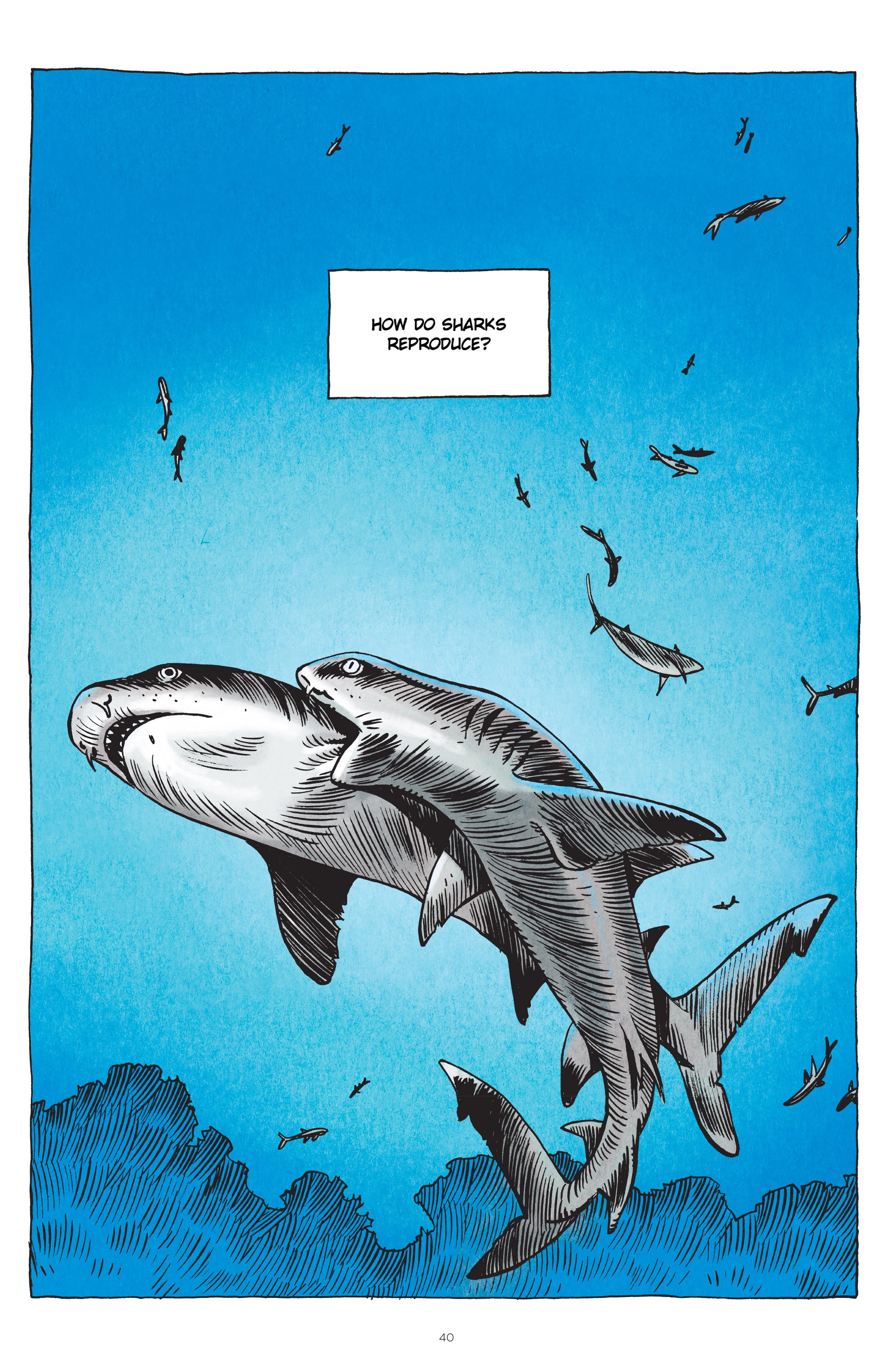 Read online Little Book of Knowledge: Sharks comic -  Issue # TPB - 40