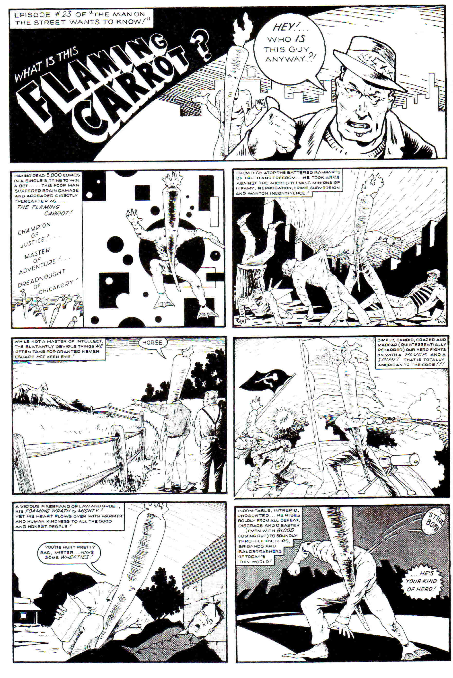 Read online Flaming Carrot Comics (1984) comic -  Issue #13 - 4