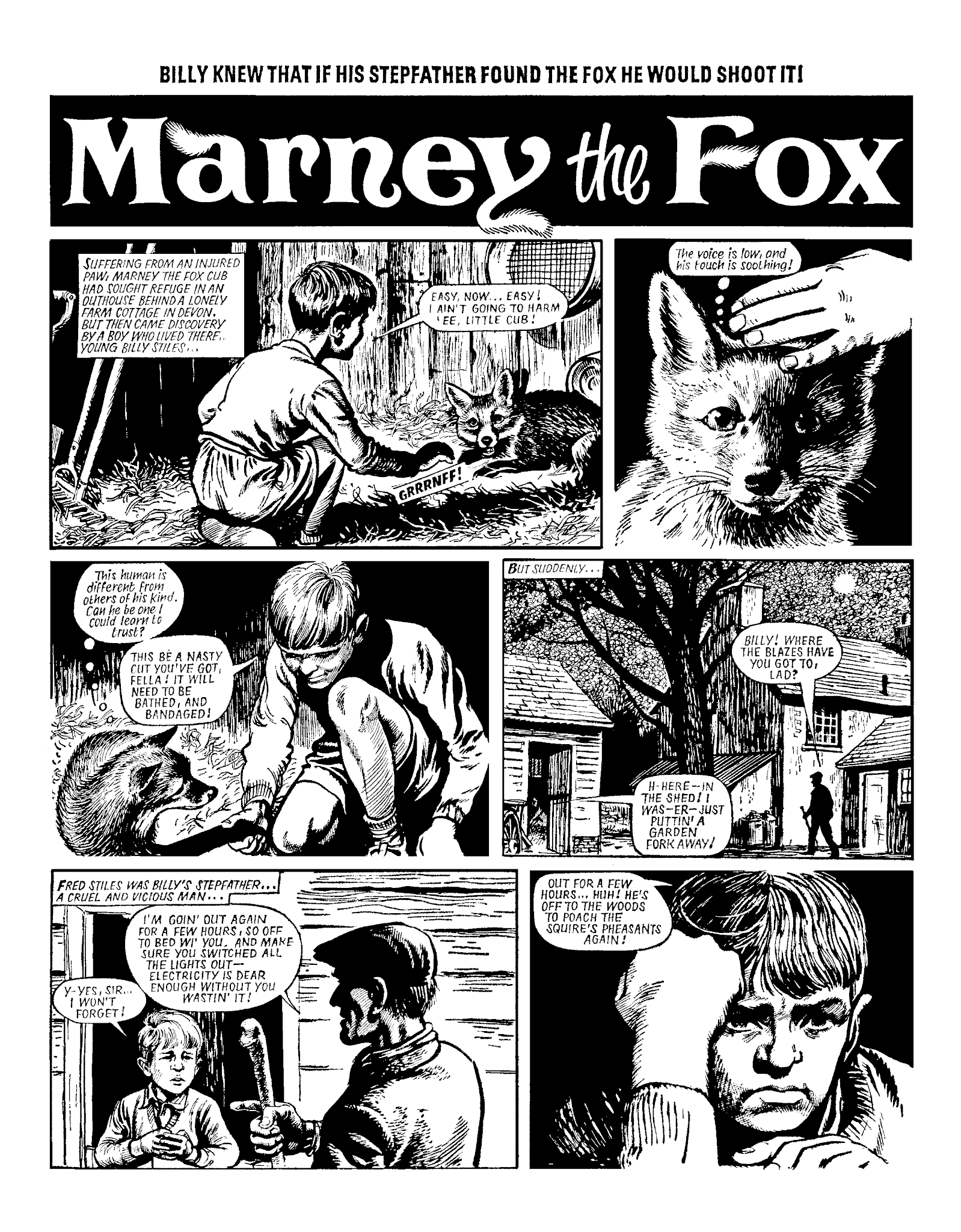 Read online Marney the Fox comic -  Issue # TPB (Part 1) - 77
