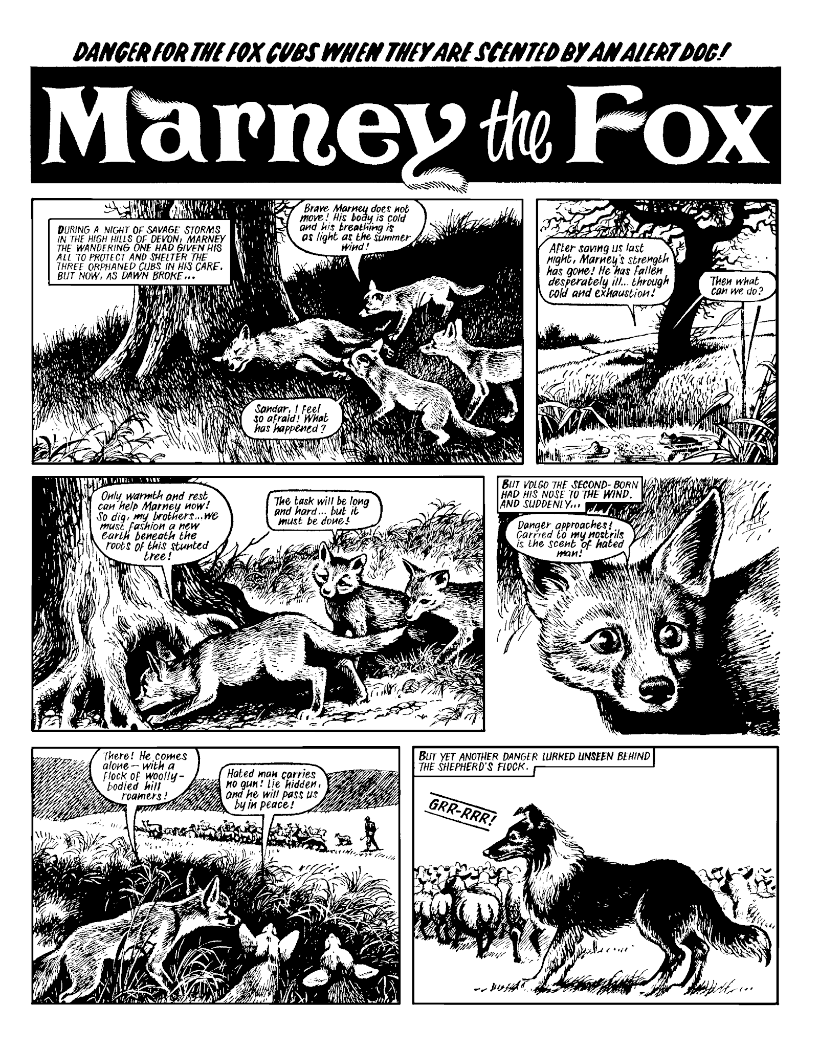 Read online Marney the Fox comic -  Issue # TPB (Part 2) - 90