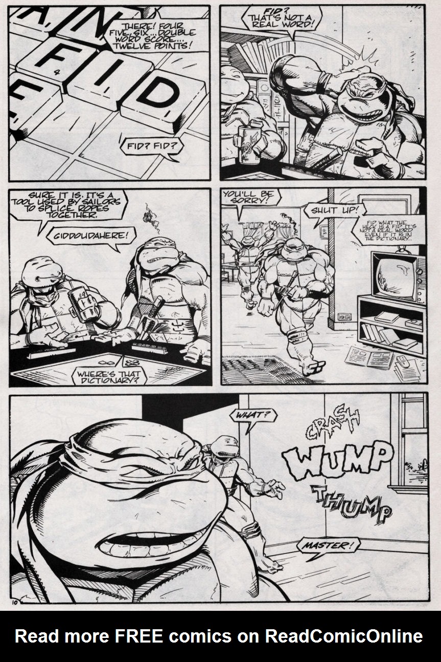 Read online Teenage Mutant Ninja Turtles (1984) comic -  Issue #46 - 10