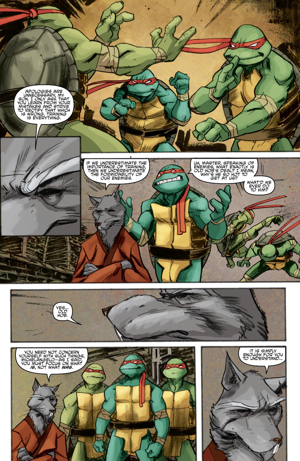 Teenage Mutant Ninja Turtles (2011) issue 3 - Page 15