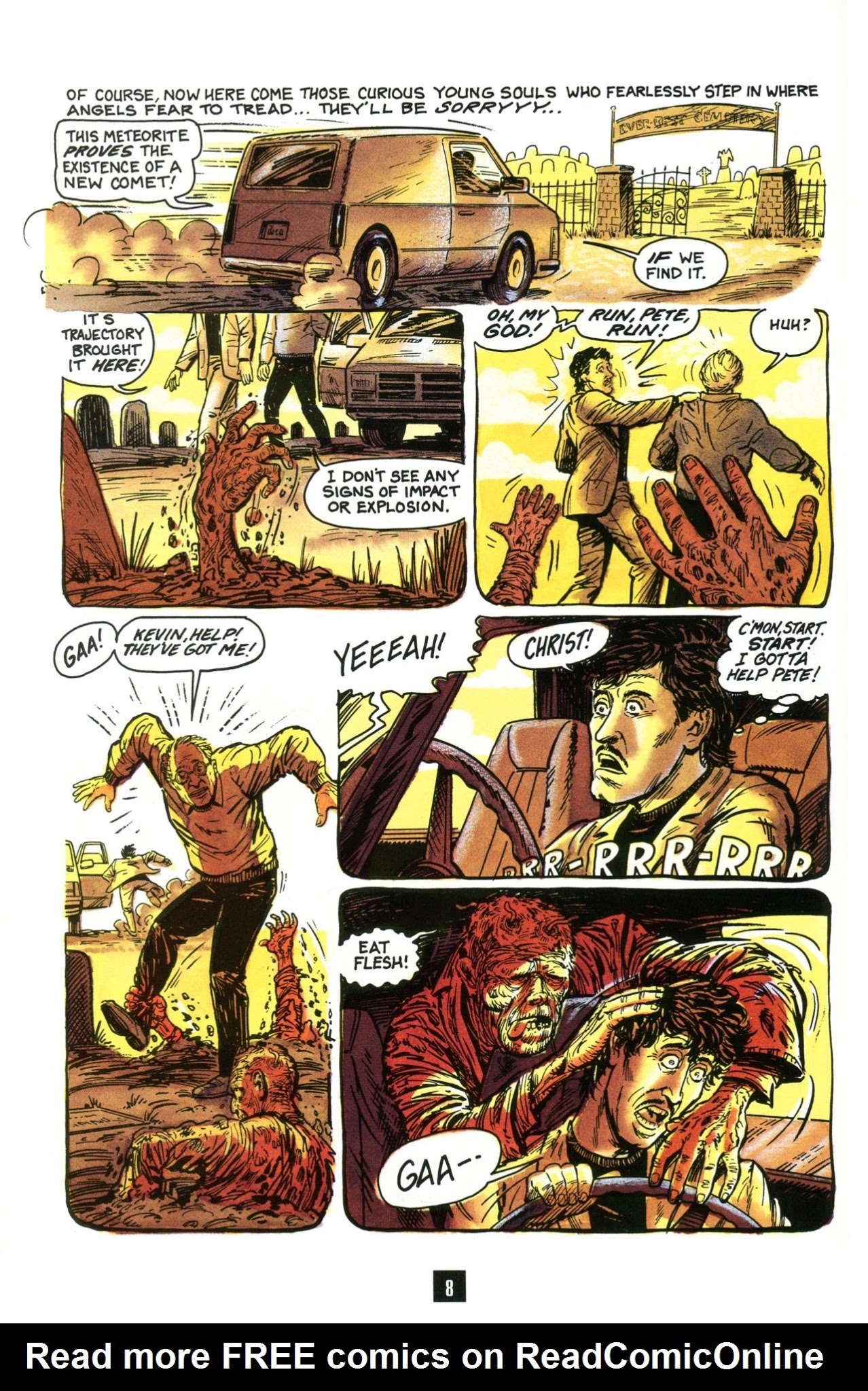 Read online Turtle Soup (1991) comic -  Issue #2 - 10