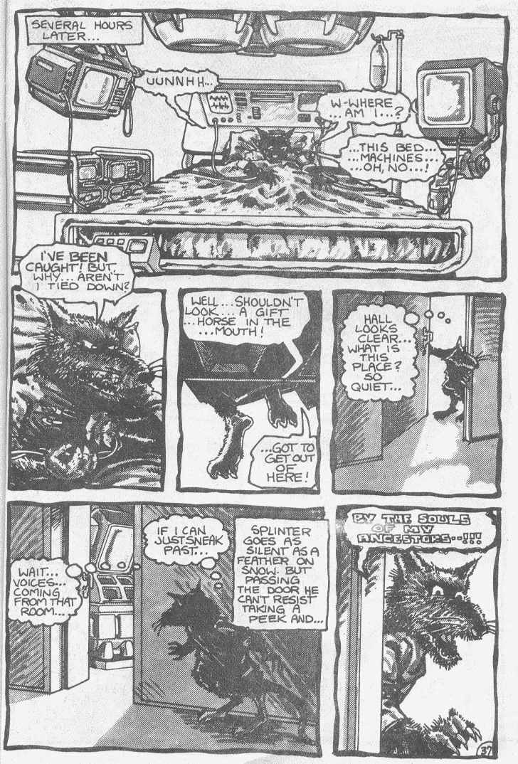 Read online Teenage Mutant Ninja Turtles (1984) comic -  Issue #3 - 40