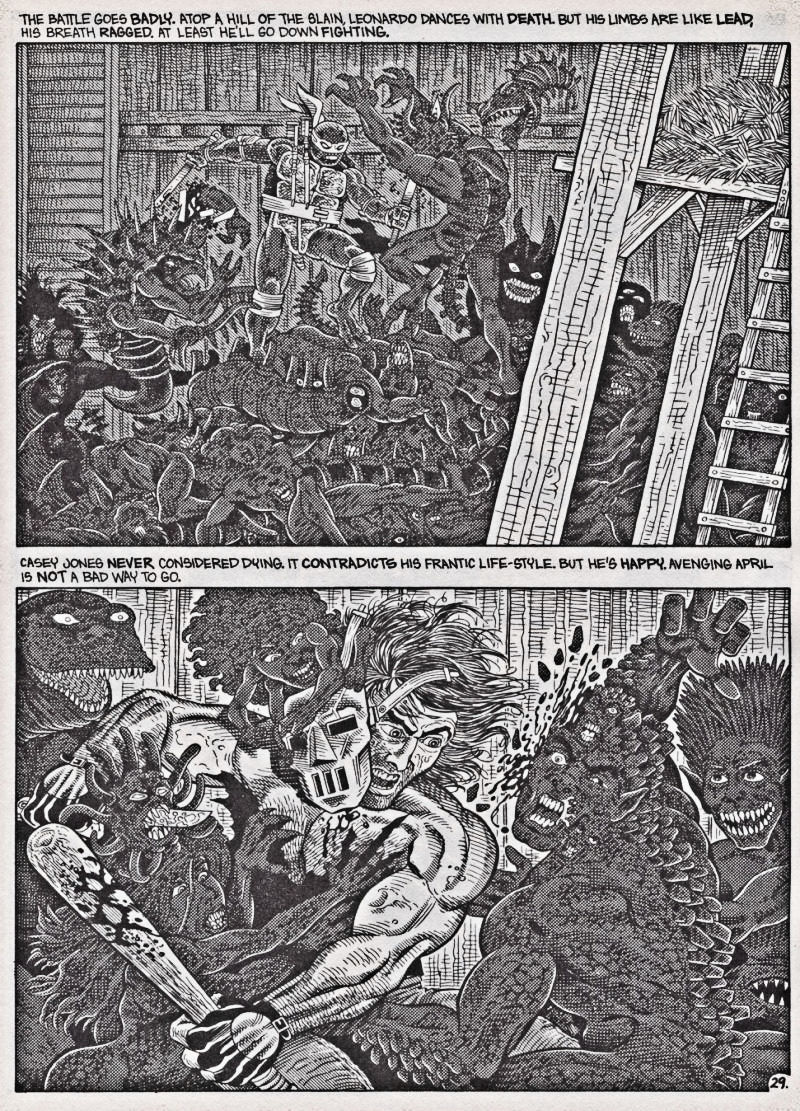 Teenage Mutant Ninja Turtles (1984) Issue #42 #42 - English 30