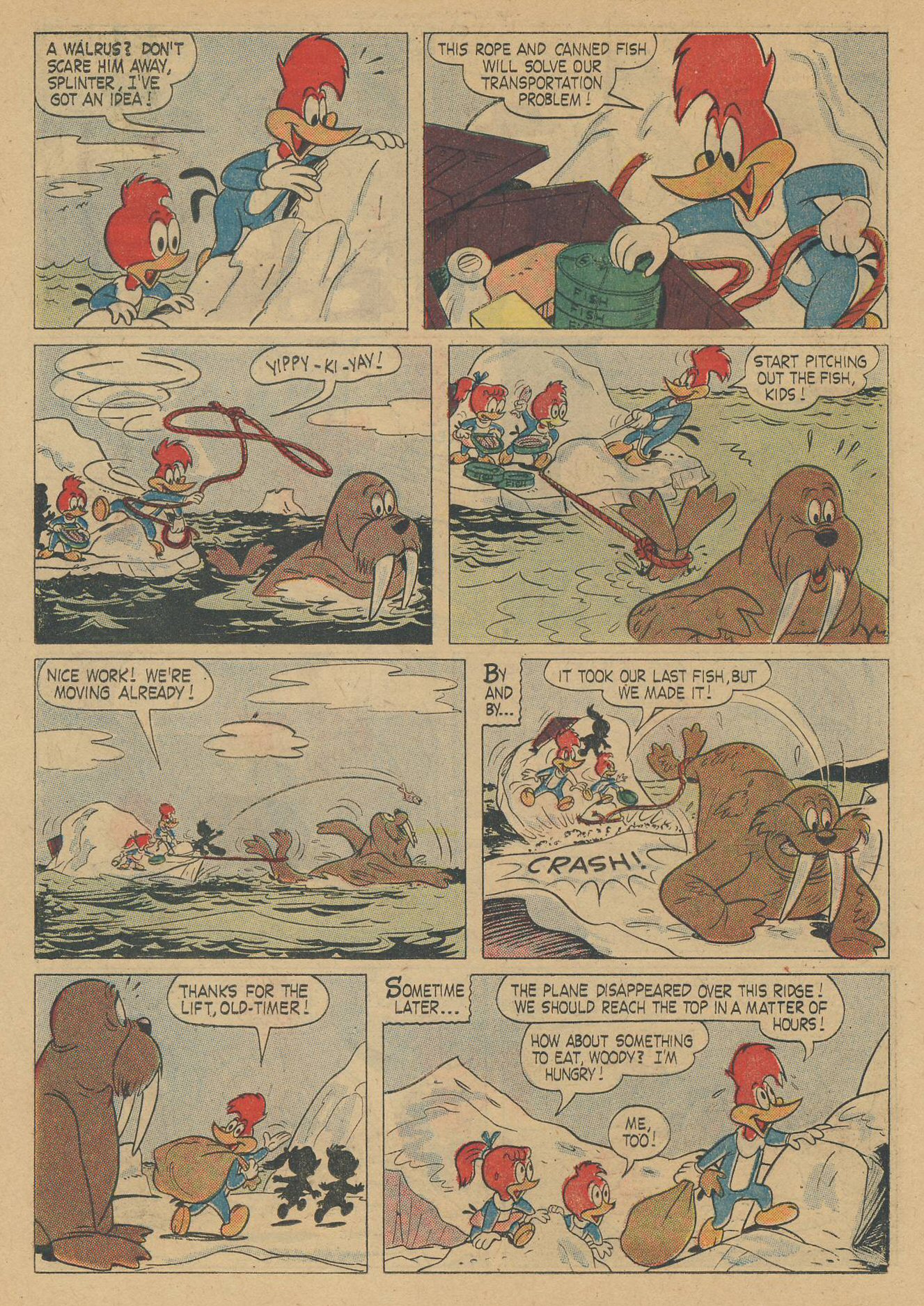 Read online Walter Lantz Woody Woodpecker (1952) comic -  Issue #58 - 14