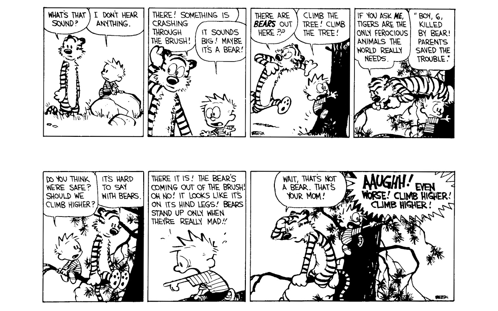 Calvin and Hobbes issue 5 - Page 108