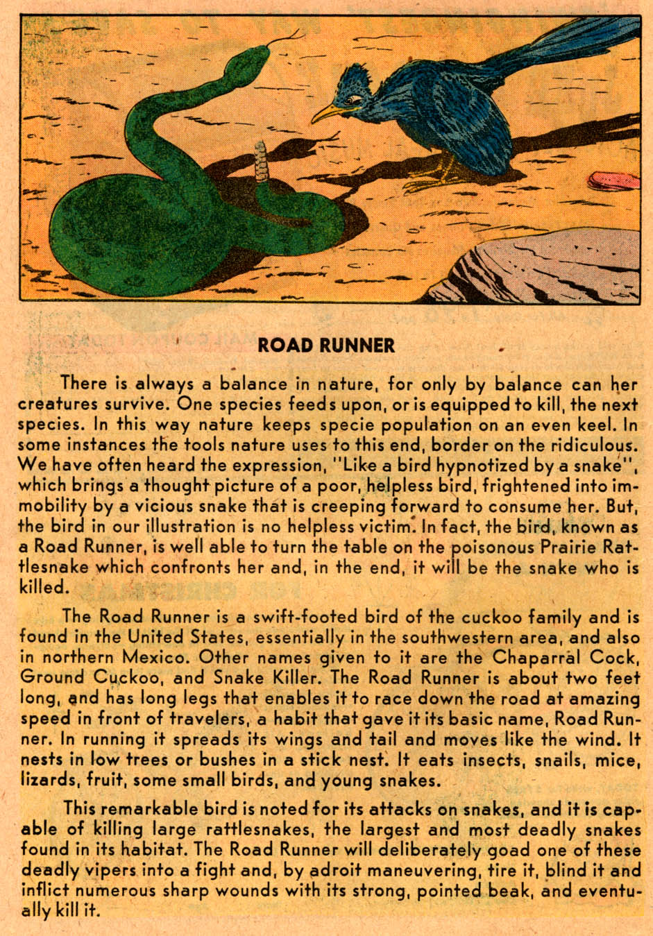 Read online Jughead's Fantasy comic -  Issue #3 - 26