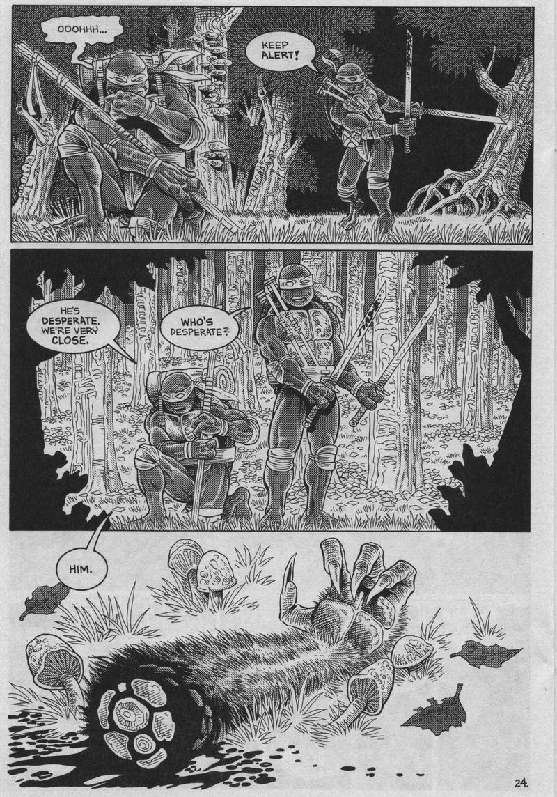 Read online Teenage Mutant Ninja Turtles (1984) comic -  Issue #37 - 24