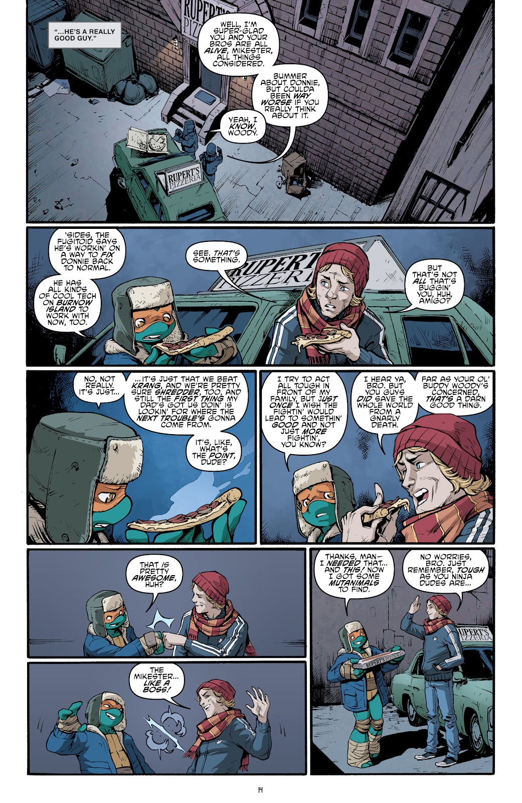 Teenage Mutant Ninja Turtles (2011) issue 46 - Page 17