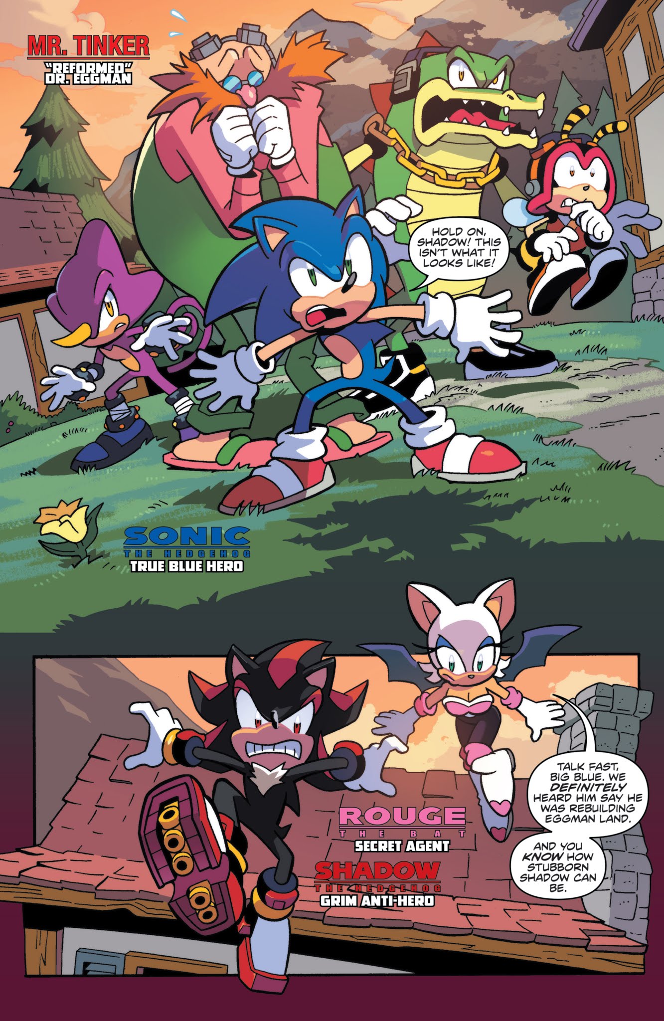 Read online Sonic the Hedgehog (2018) comic -  Issue #6 - 3