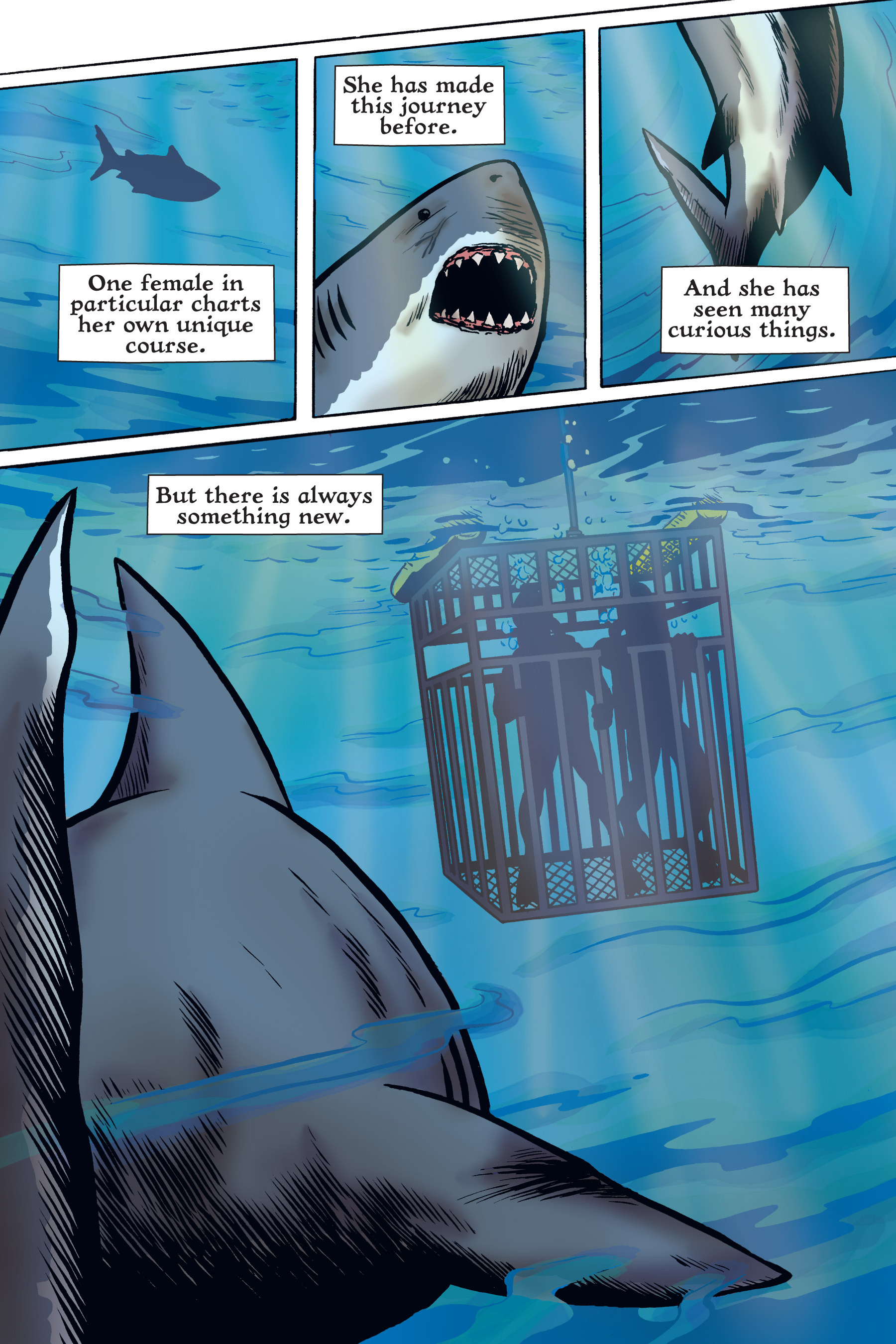 Read online Xoc: Journey of a Great White comic -  Issue # TPB - 29
