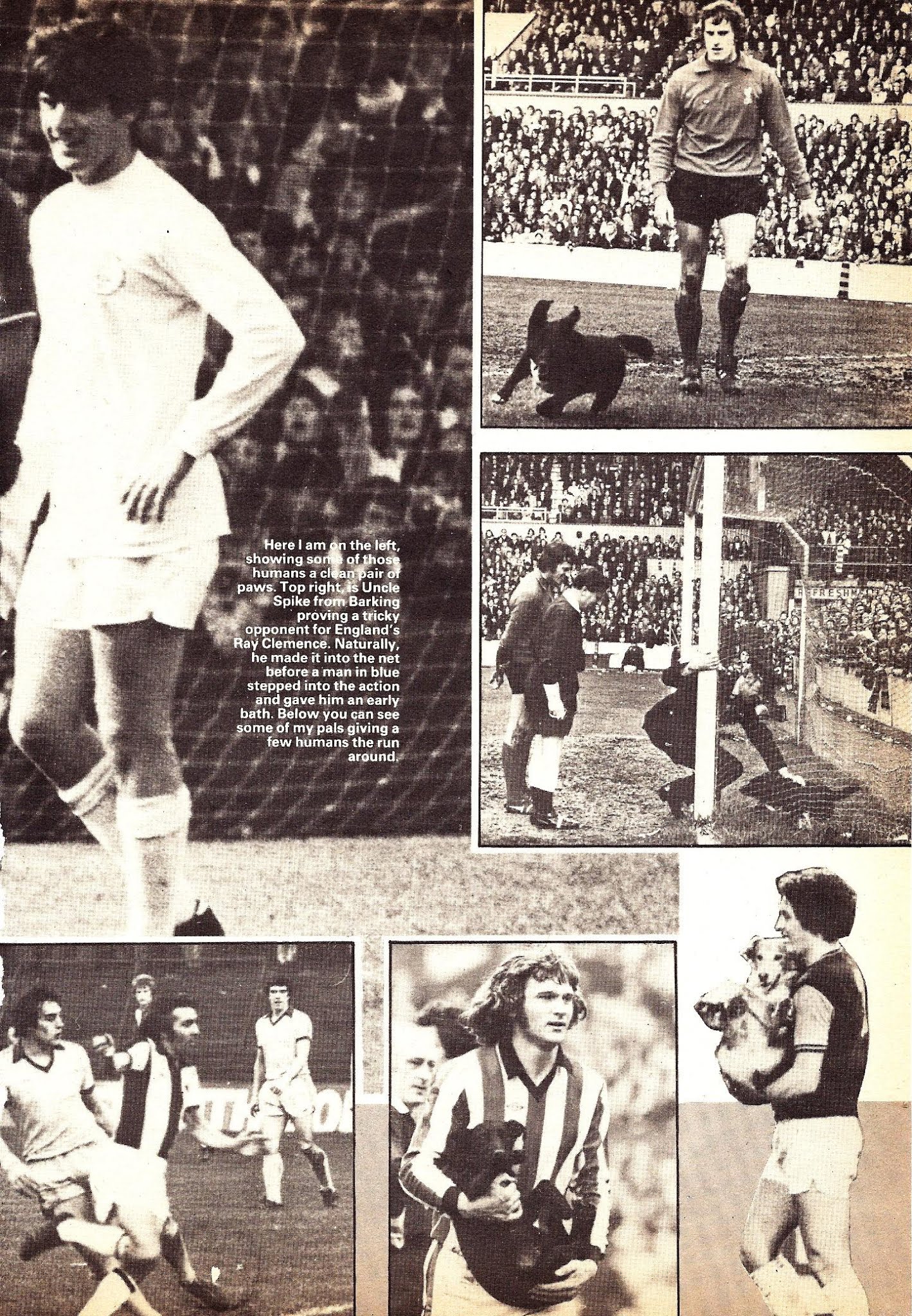 Read online Tornado comic -  Issue # Annual 1981 - 27