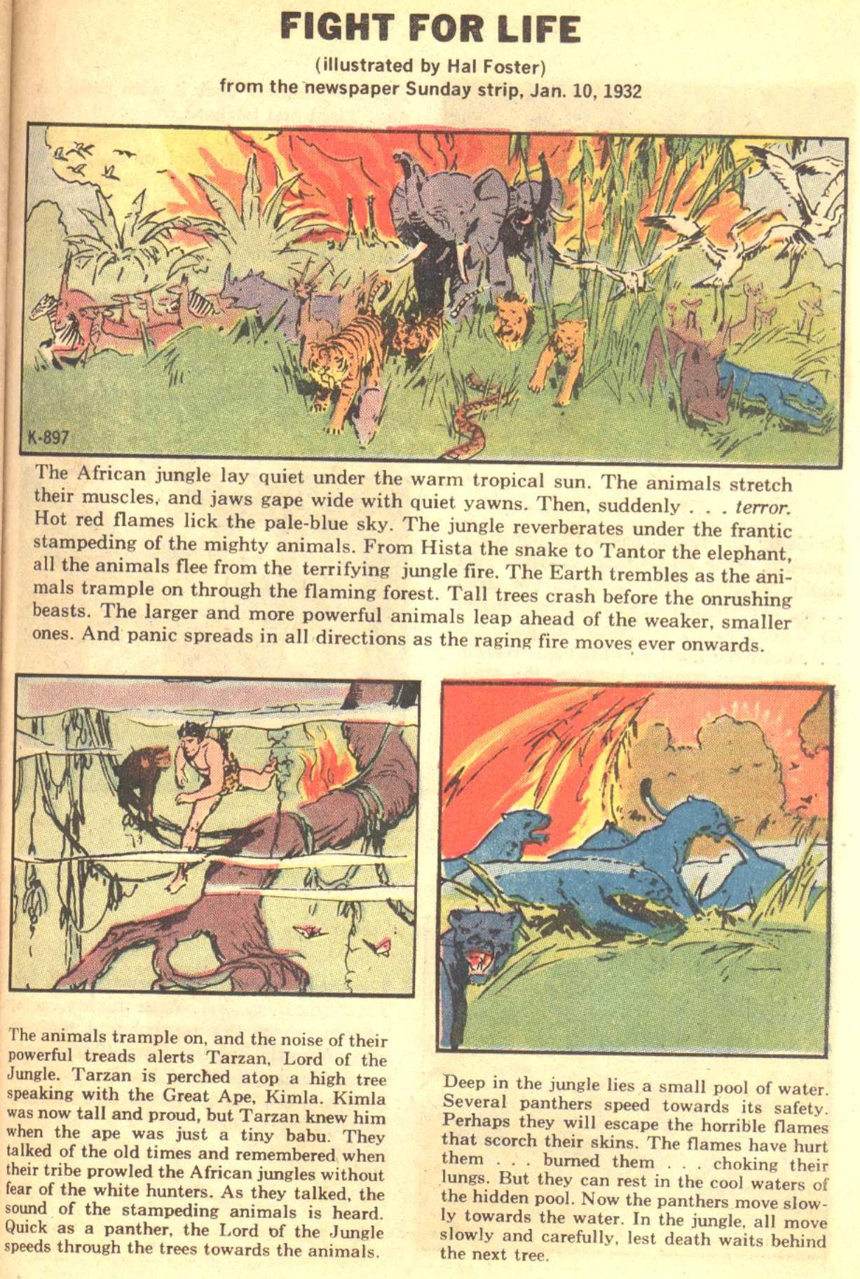 Read online Tarzan (1972) comic -  Issue #209 - 25