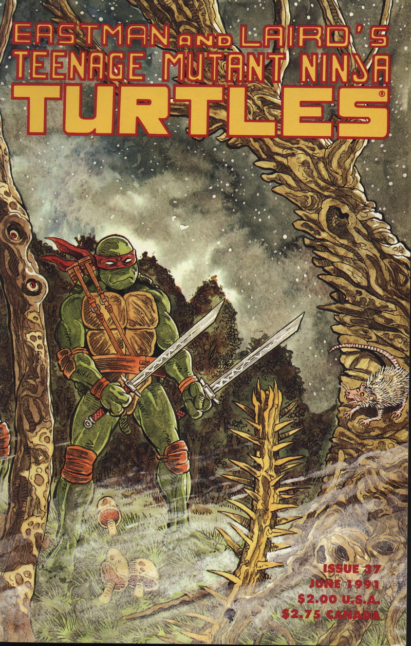 Read online Teenage Mutant Ninja Turtles (1984) comic -  Issue #37 - 1