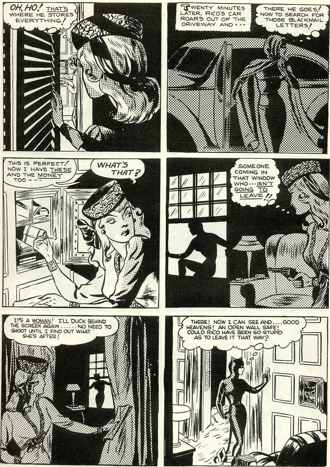 Miss Fury (1979) issue Full - Page 19