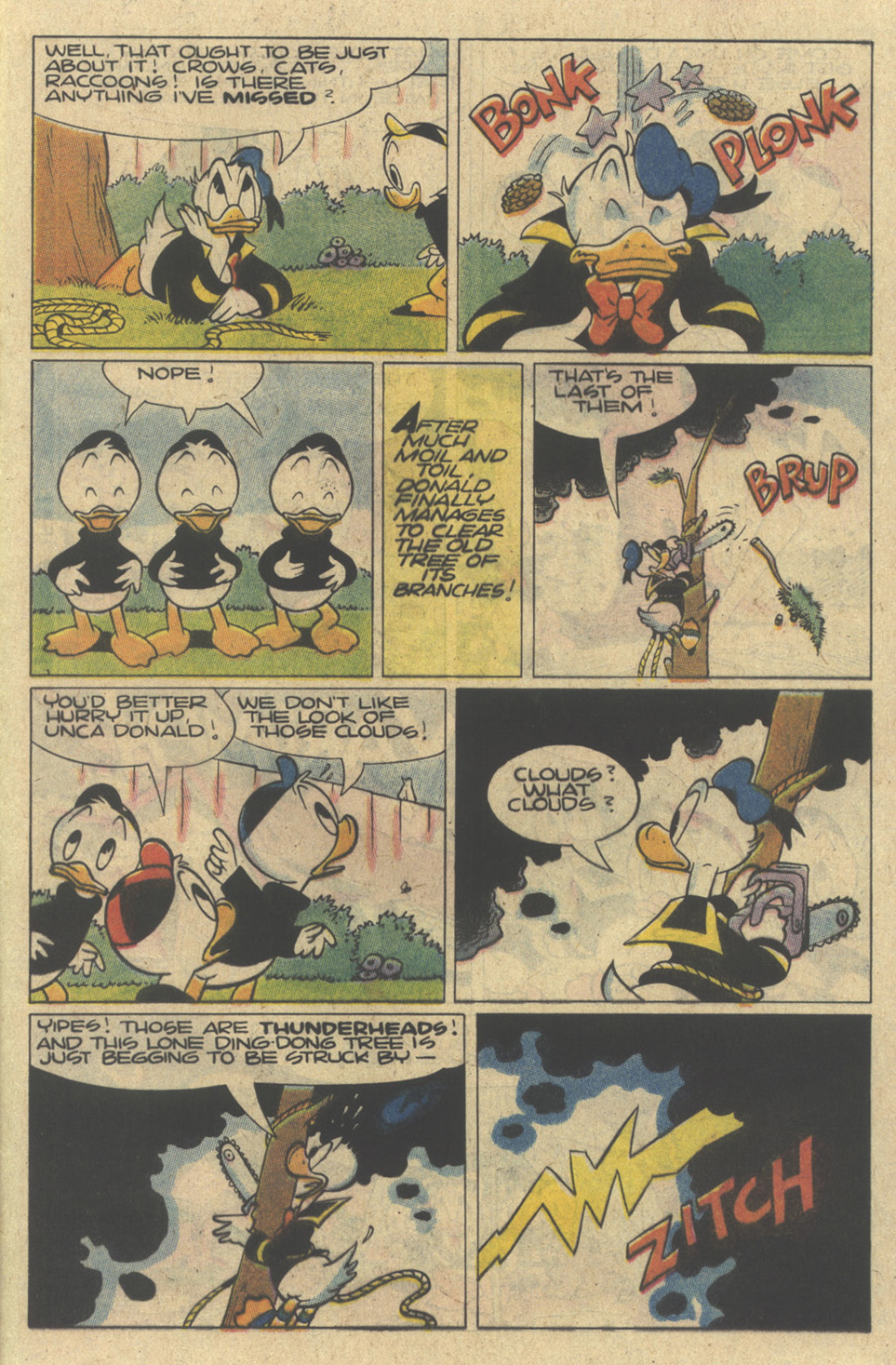 Read online Walt Disney's Donald Duck (1952) comic -  Issue #271 - 21