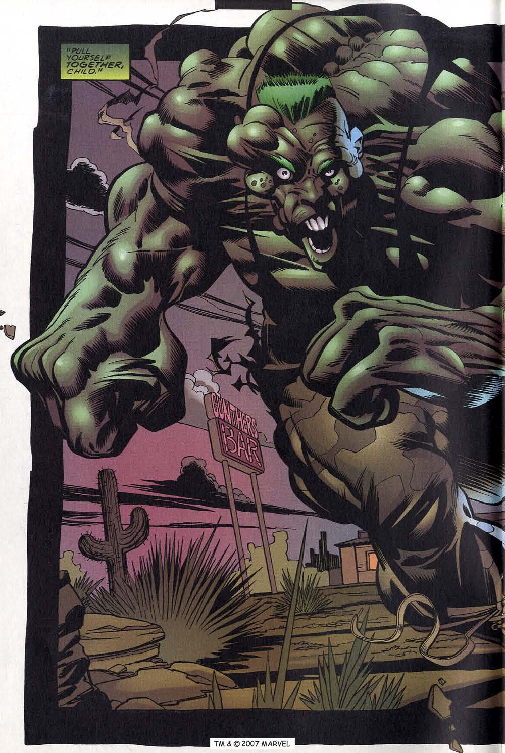 The Incredible Hulk (2000) Issue #17 #6 - English 6